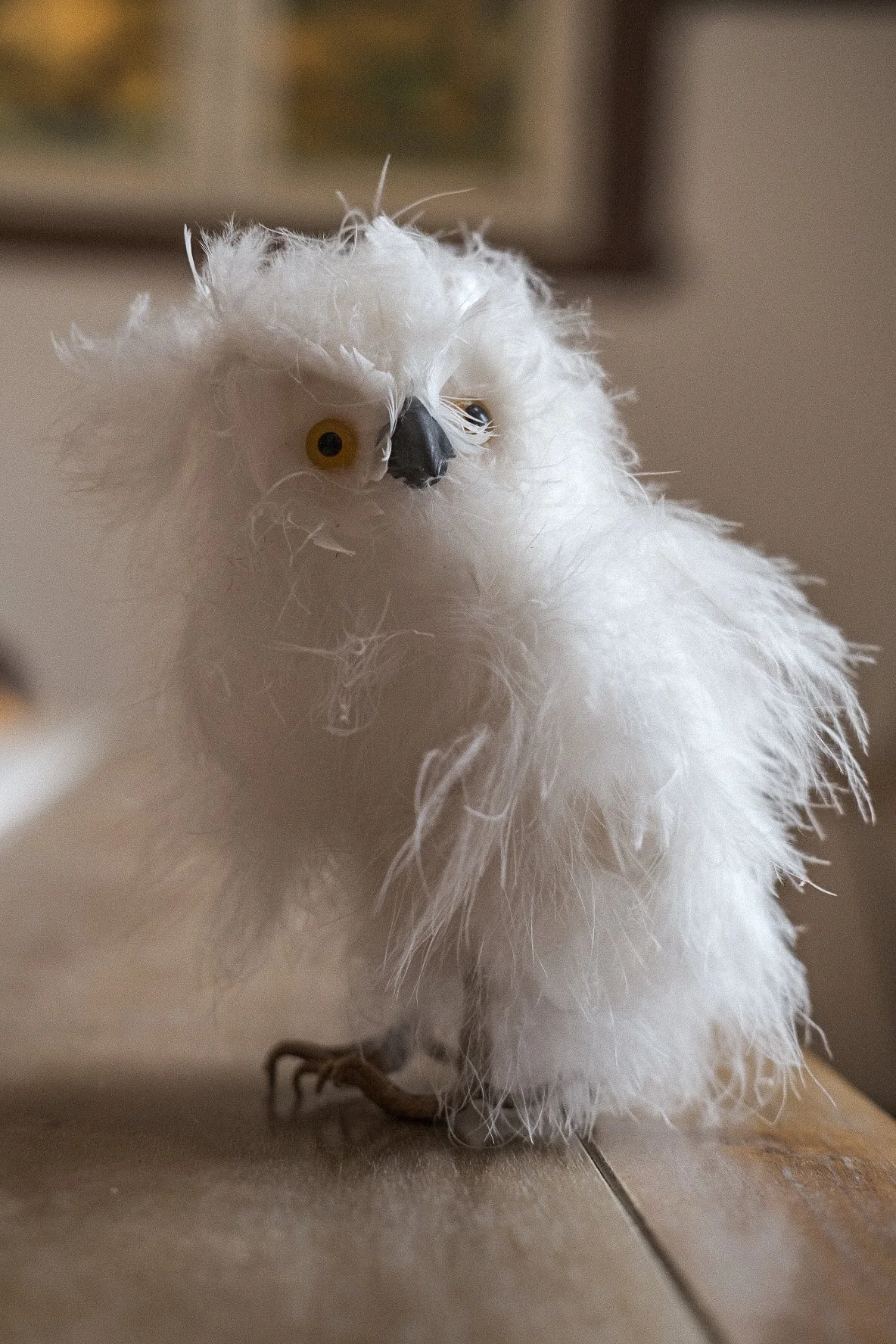 Fluffy Owl