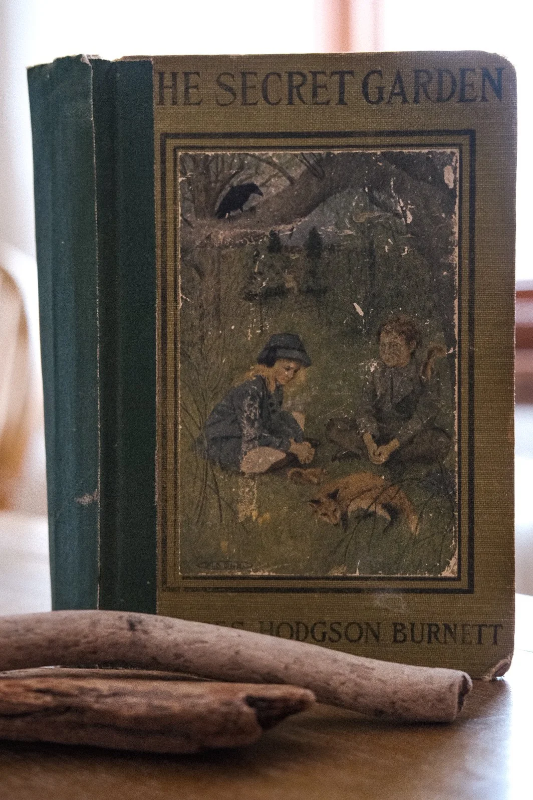 A worn vintage book titled 'The Secret Garden' by Hodgson Burnett, with a faded illustrated cover showing two children sitting outdoors with a dog, and some driftwood in front of the book.