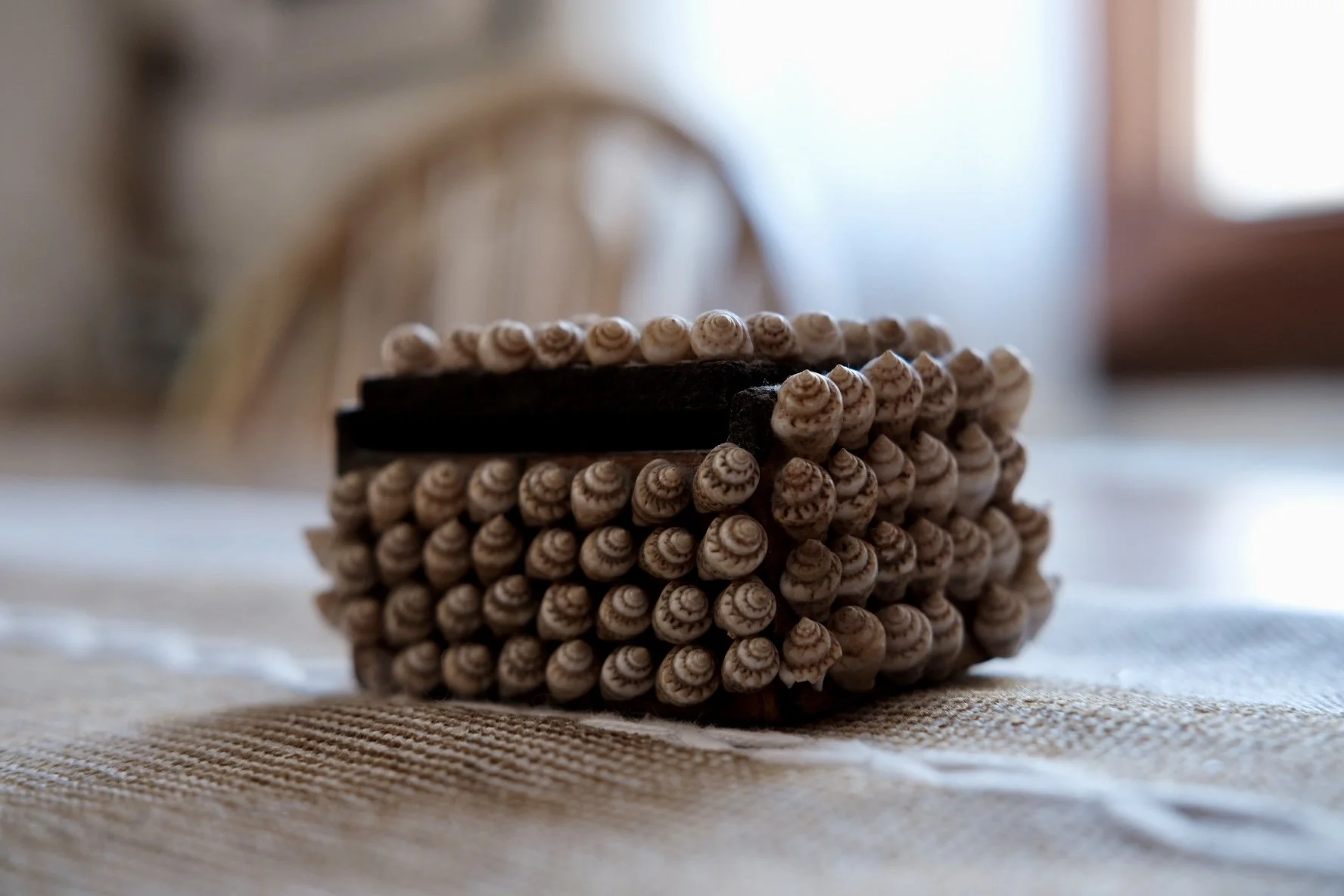 Close-up of a decorative item with small seashells arranged around a rectangular dark object, placed on a textured fabric surface, with a blurred background.