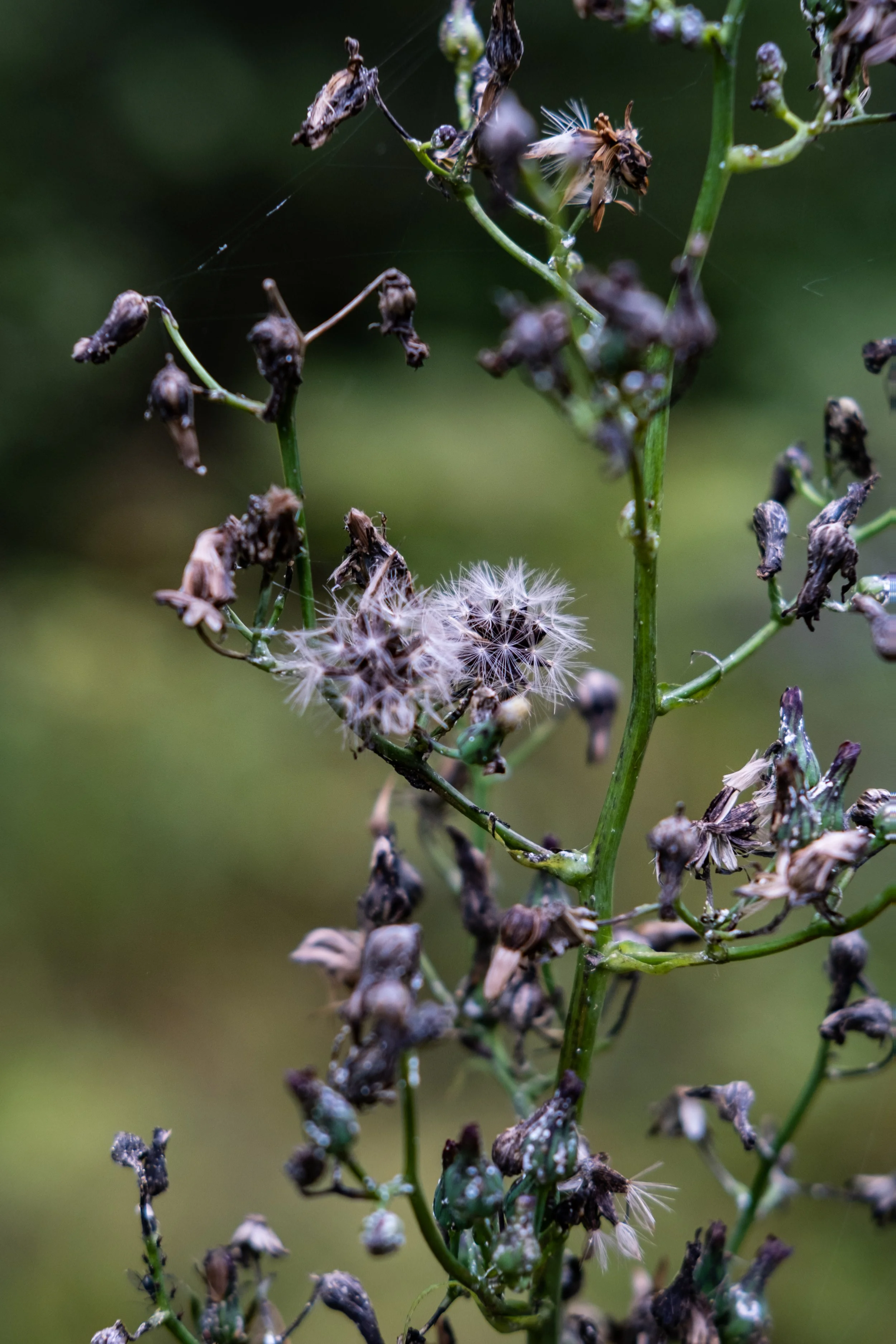 untitled shoot-100.jpg