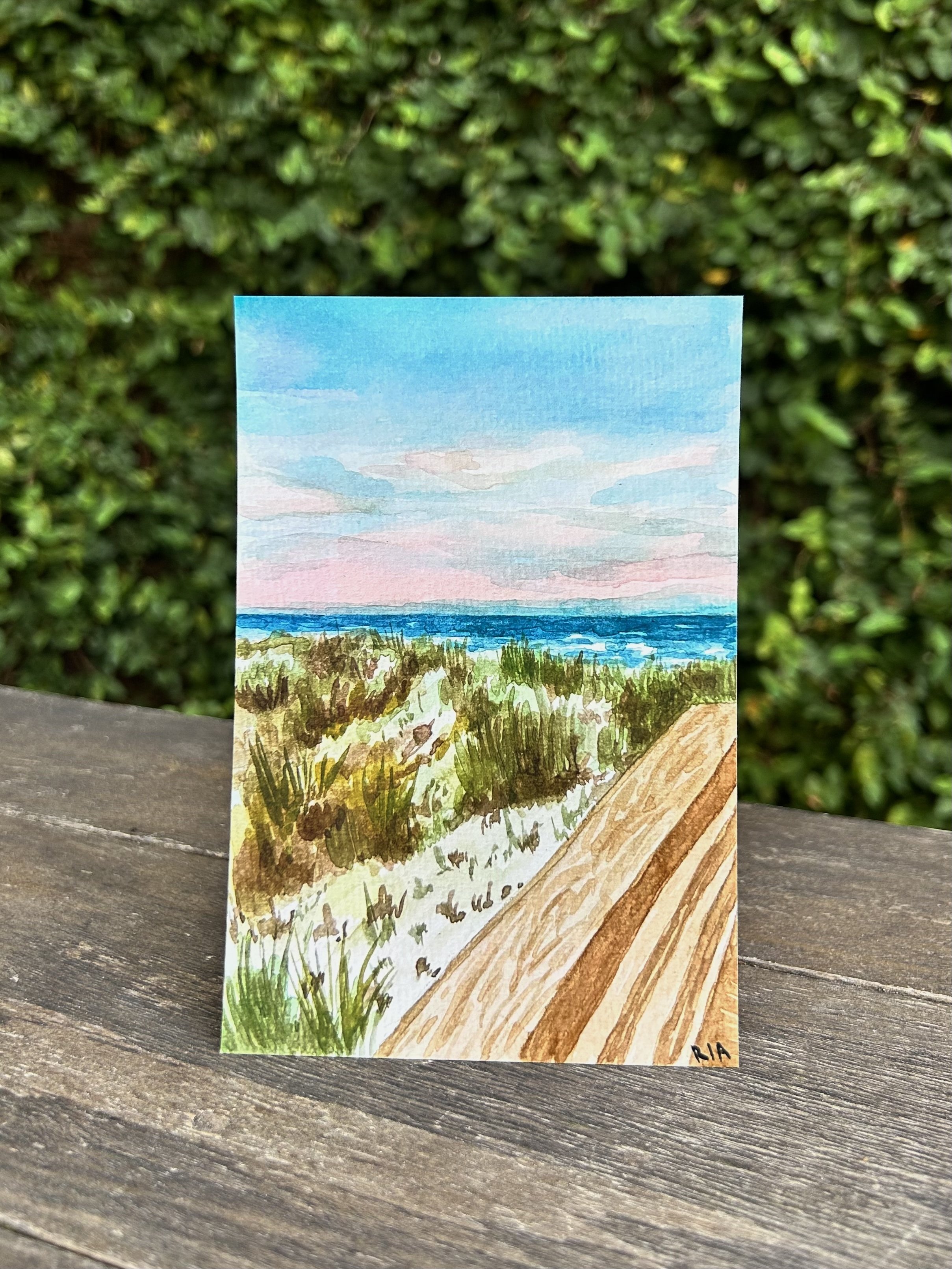 Folly Beach.jpg