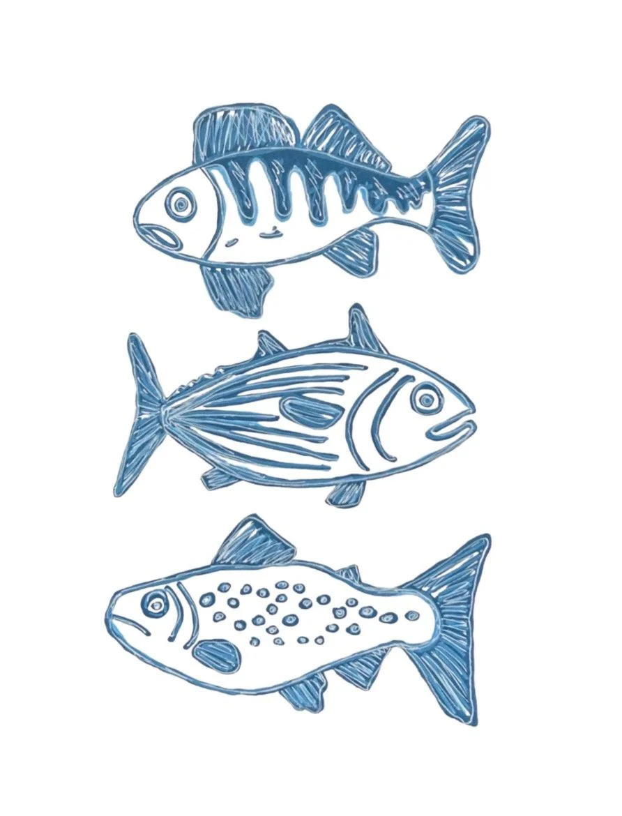 "More Fish" Postcard