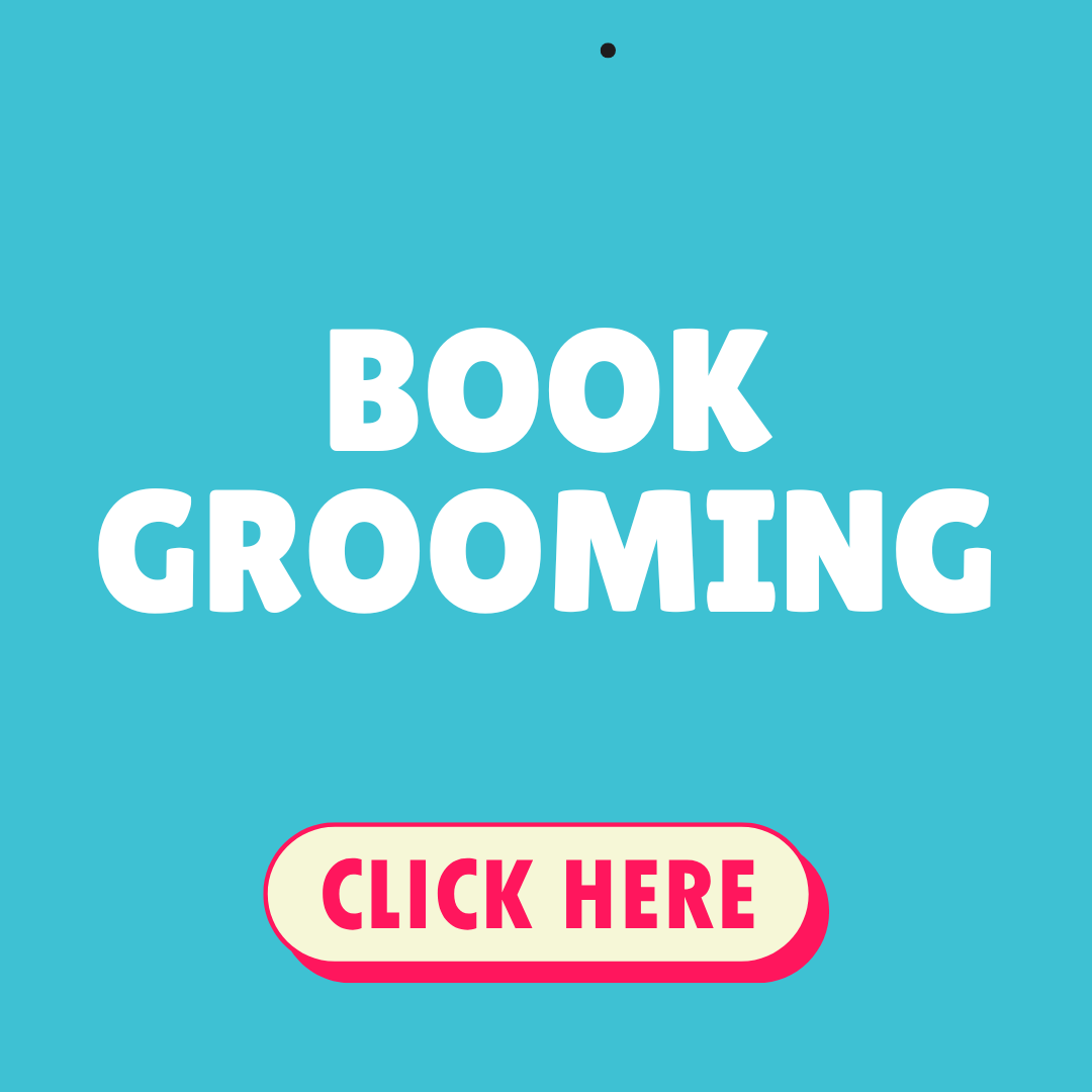 Blue background with white text that says "Book Grooming" and a pink button with white text that says "Click Here."