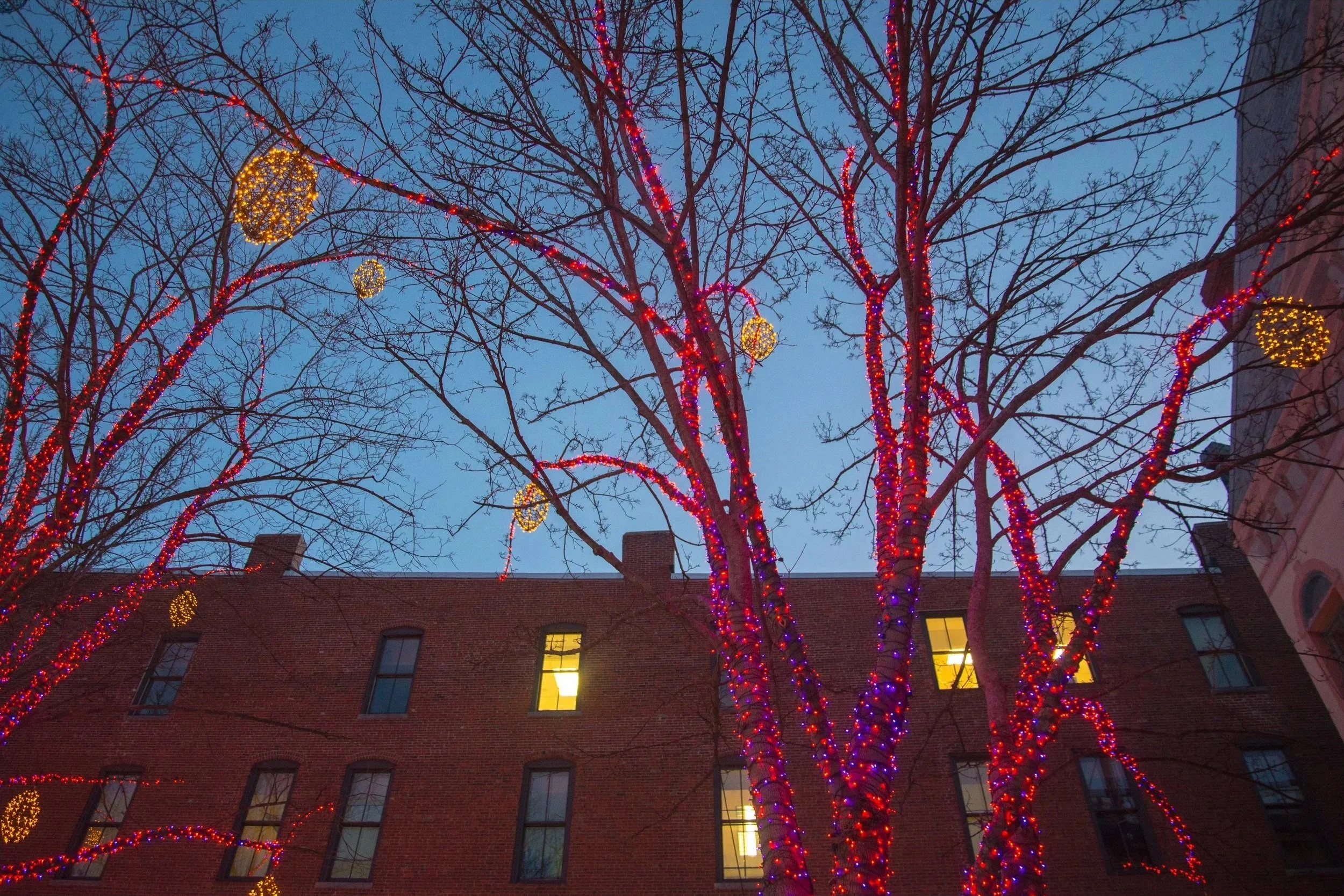 Tommy's Park, Portland, Maine