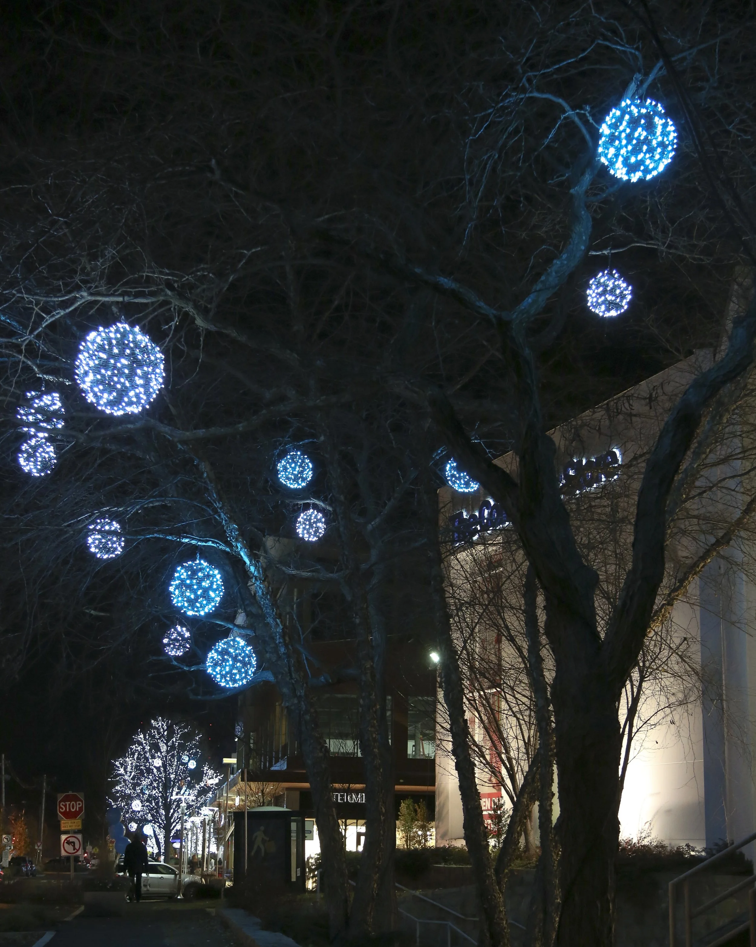 The Street, Chestnut Hill, Massachusetts