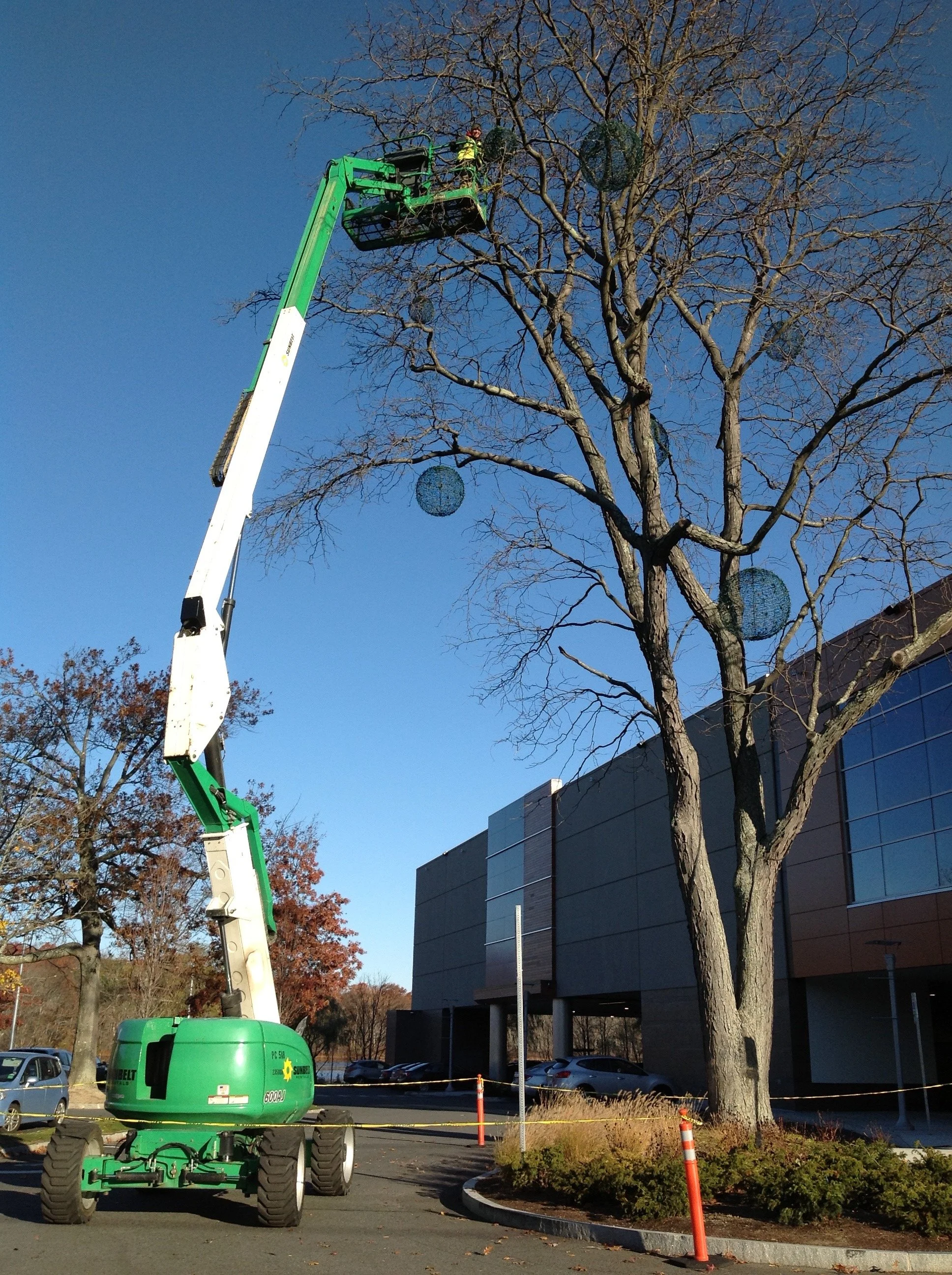 A person on a lift trimming or maintaining a leafless tree with decorative blue orbs hanging from its branches outside a modern building.