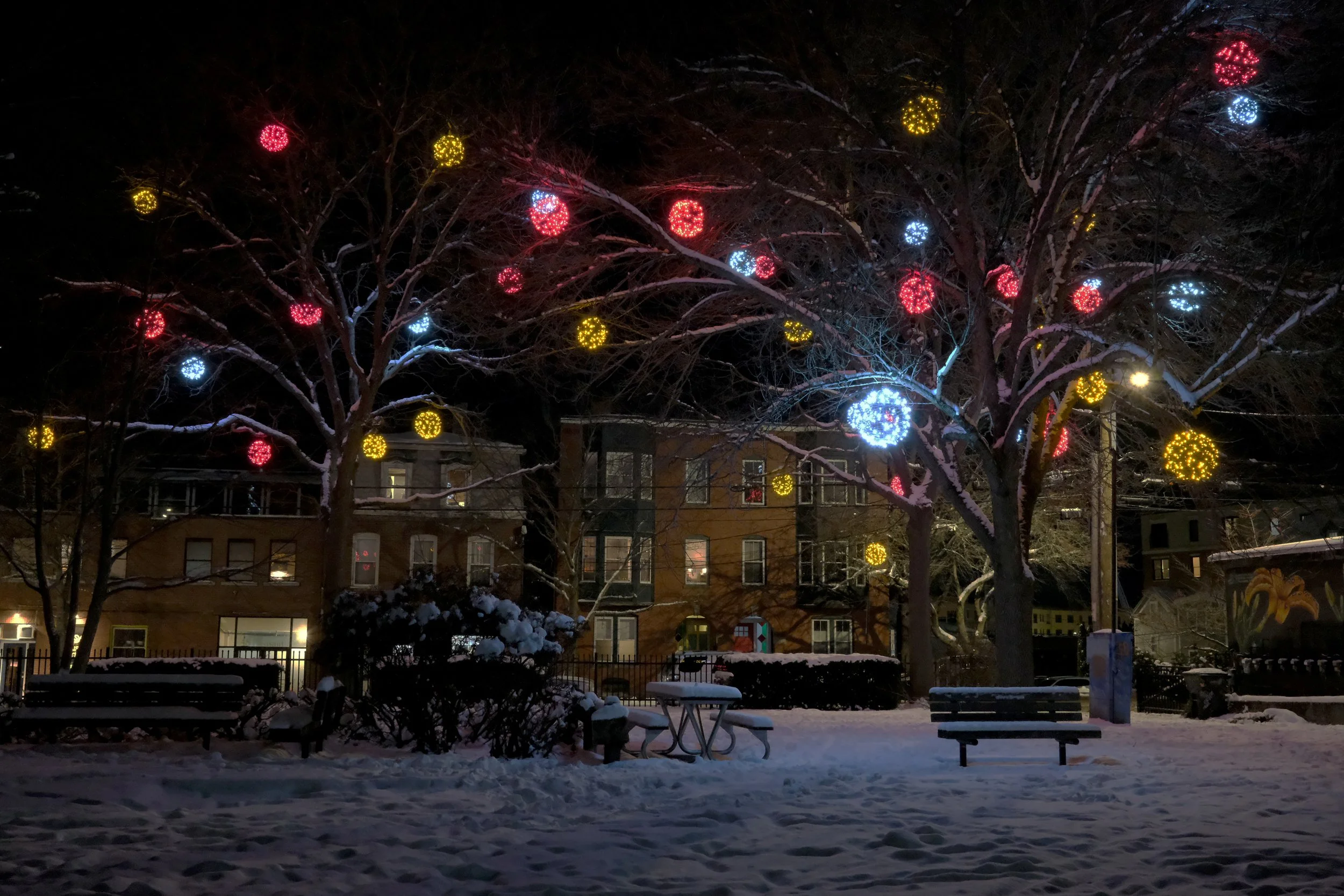 Pleasant Street Park, Portland, Maine