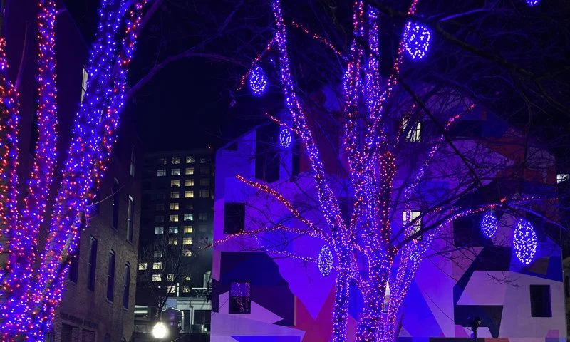 Tommy's Park, Portland, Maine