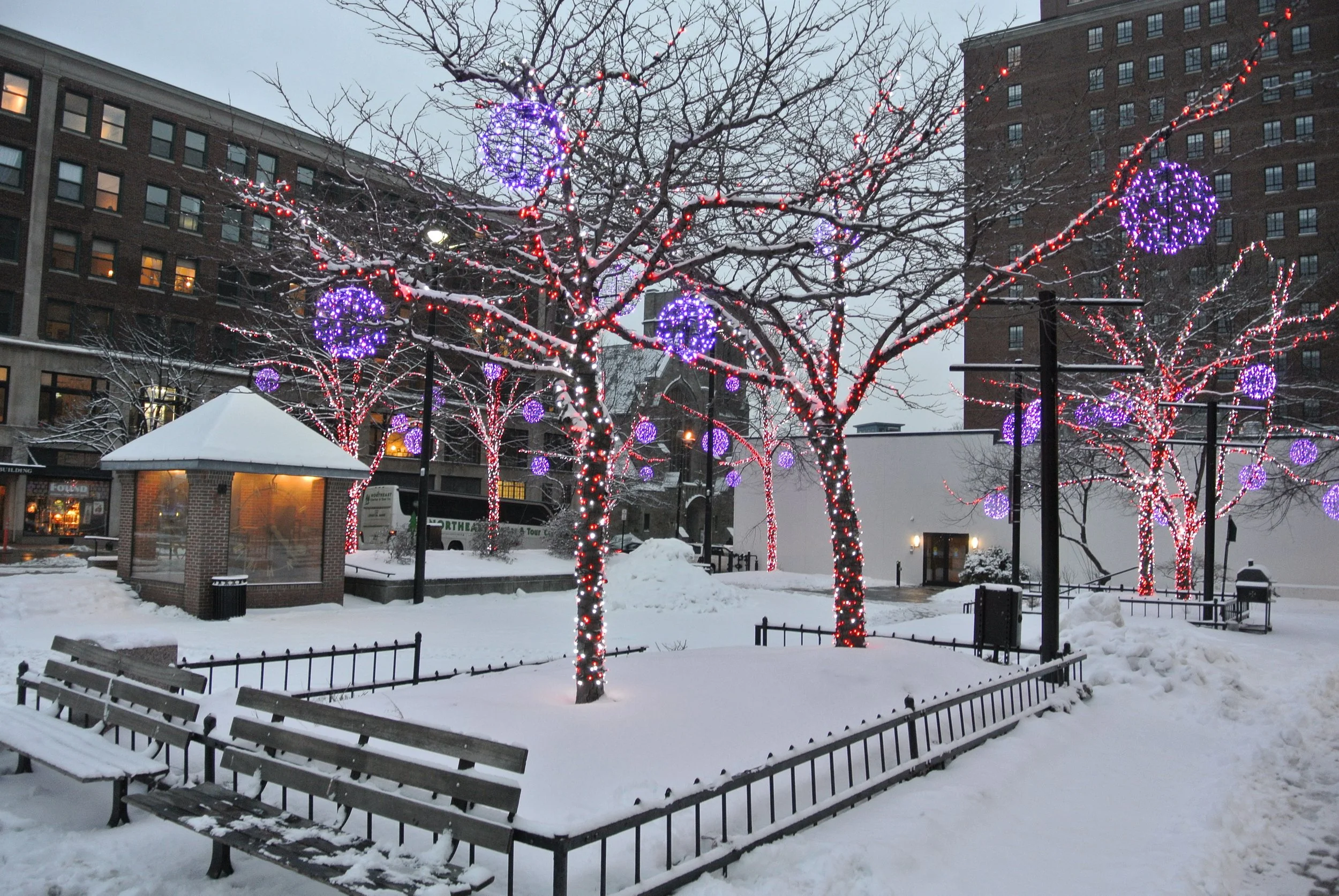 Congress Square Park, Portland, Maine