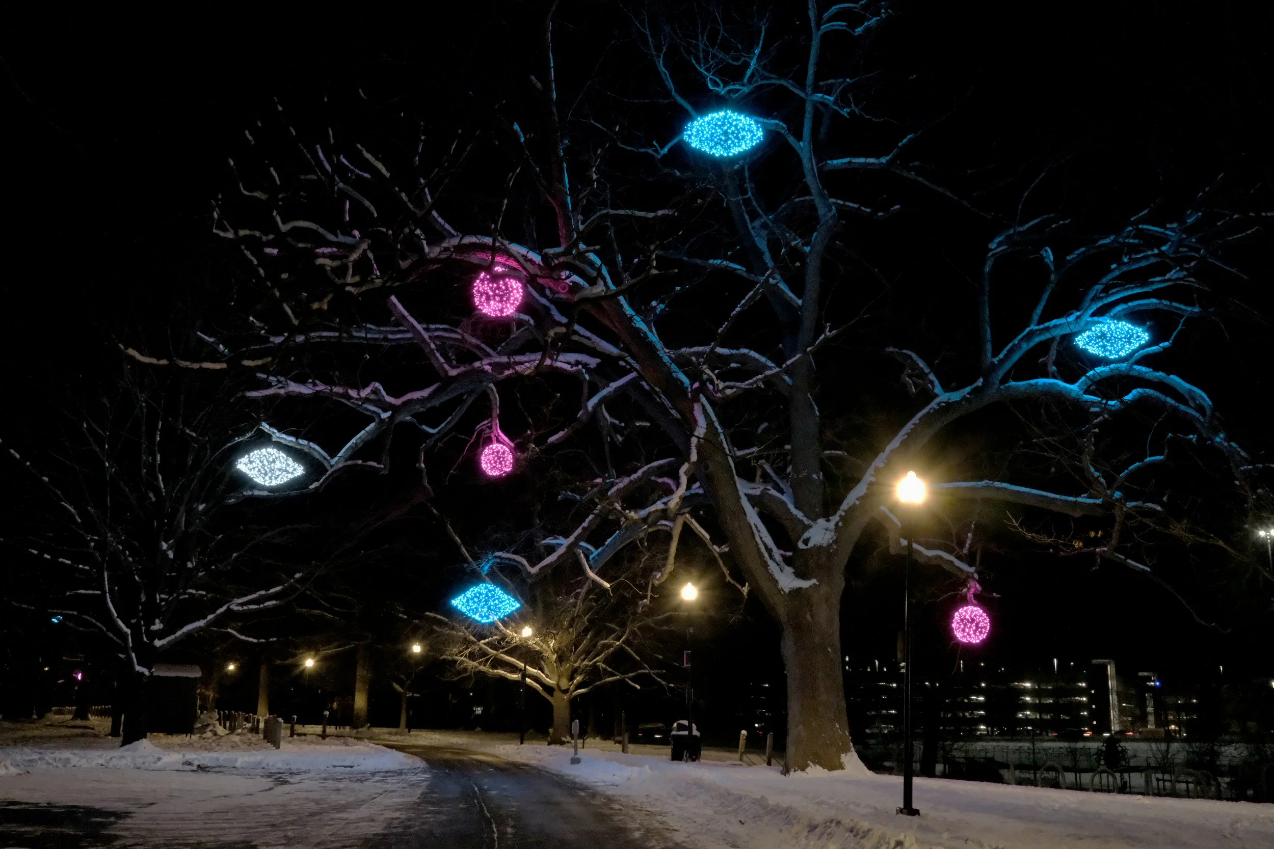 Deering Oaks Park, Portland, Maine