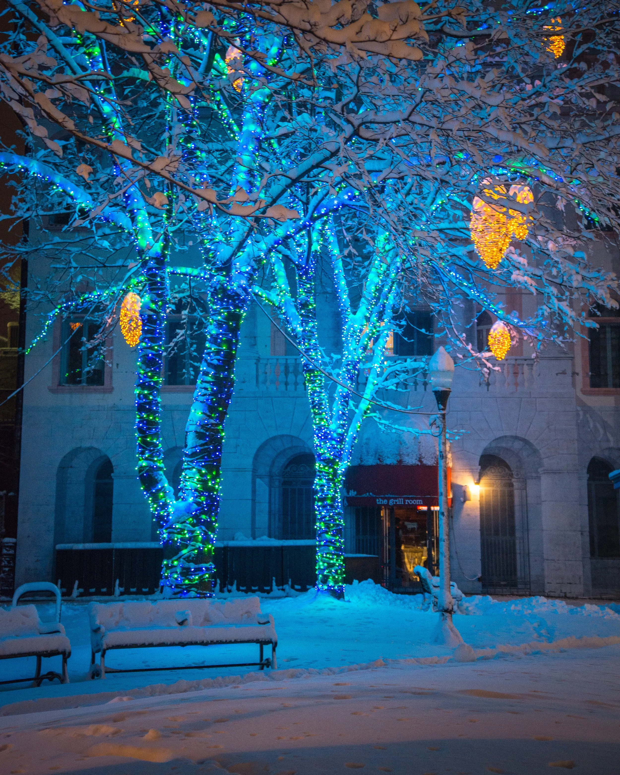 Tommy's Park, Portland, Maine