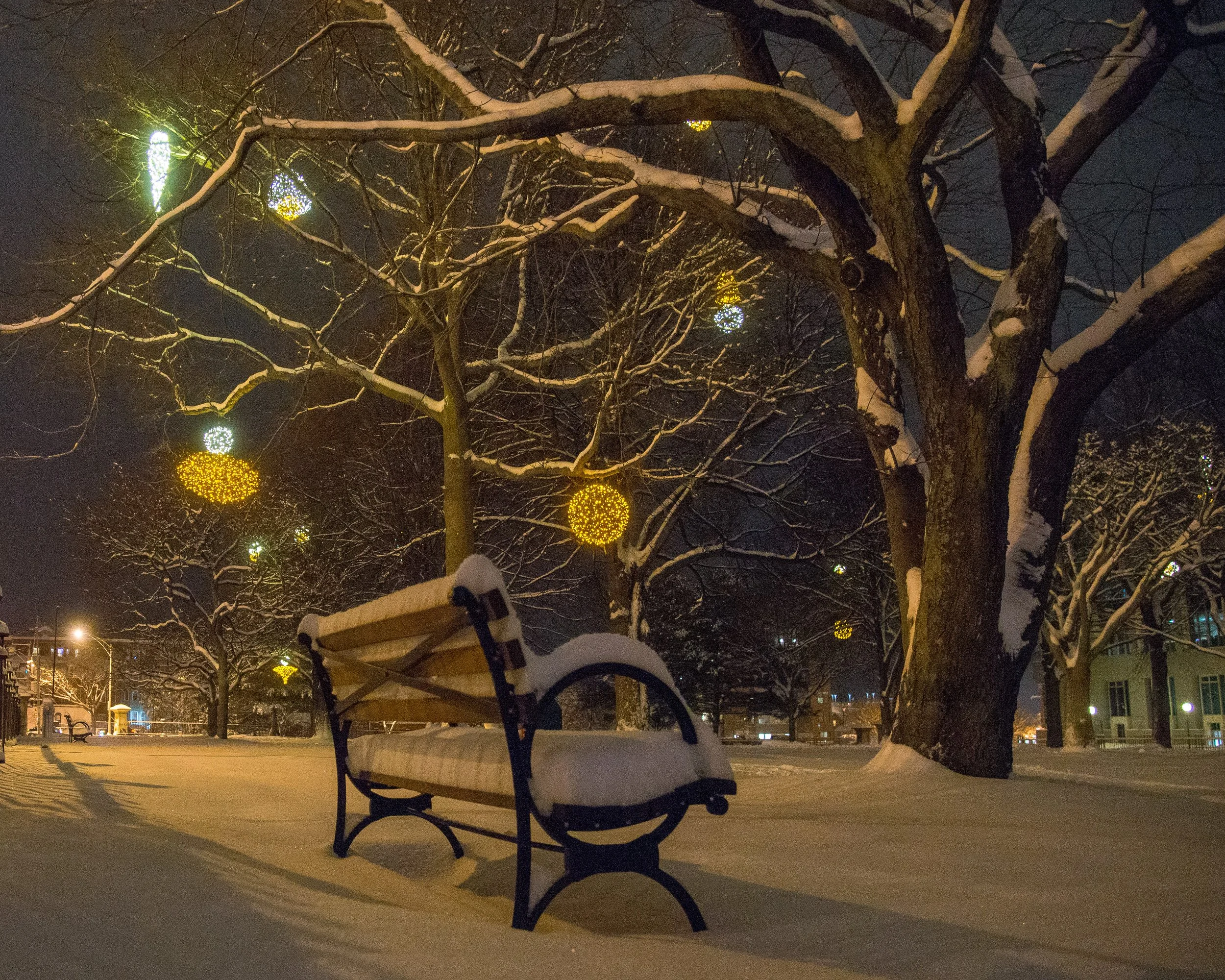 Lincoln Park, Portland, Maine
