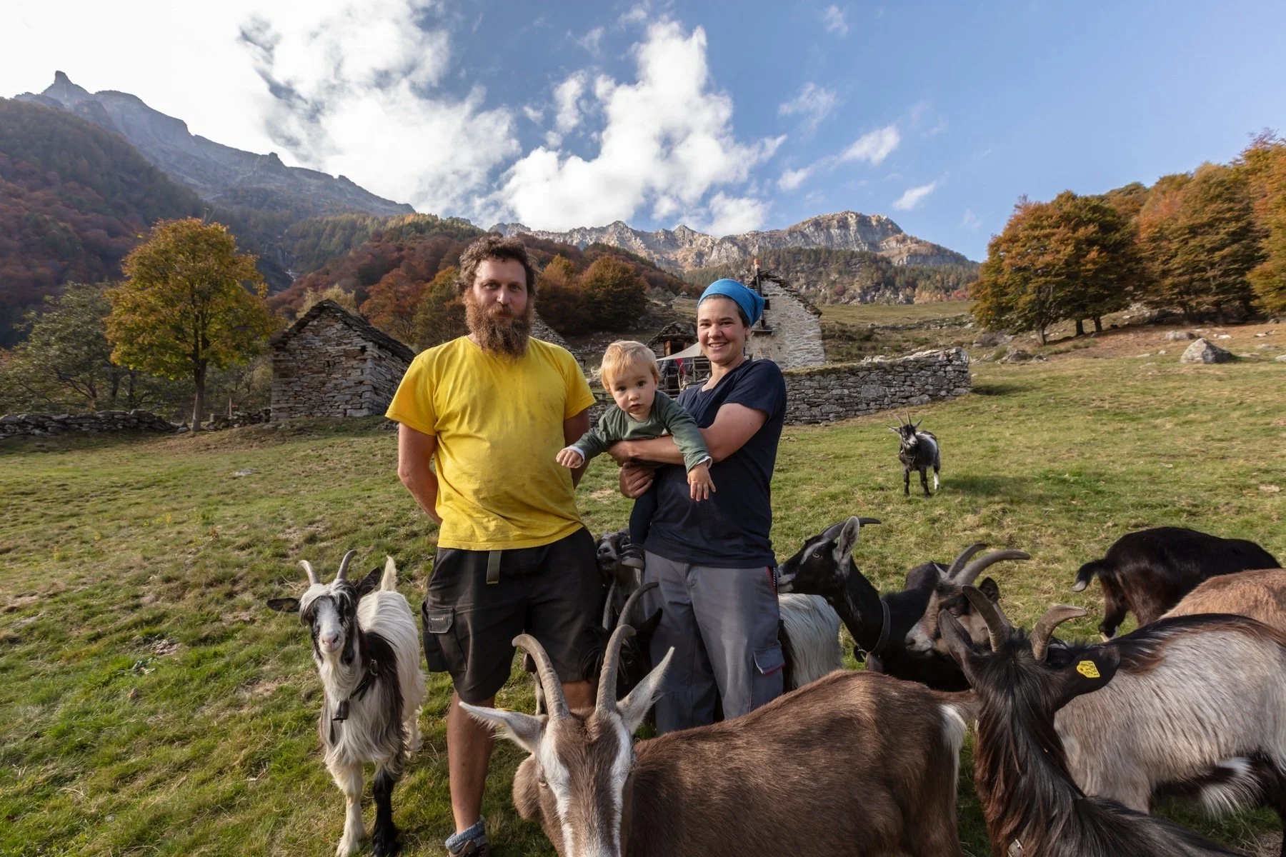 ascona-family-goats.jpg