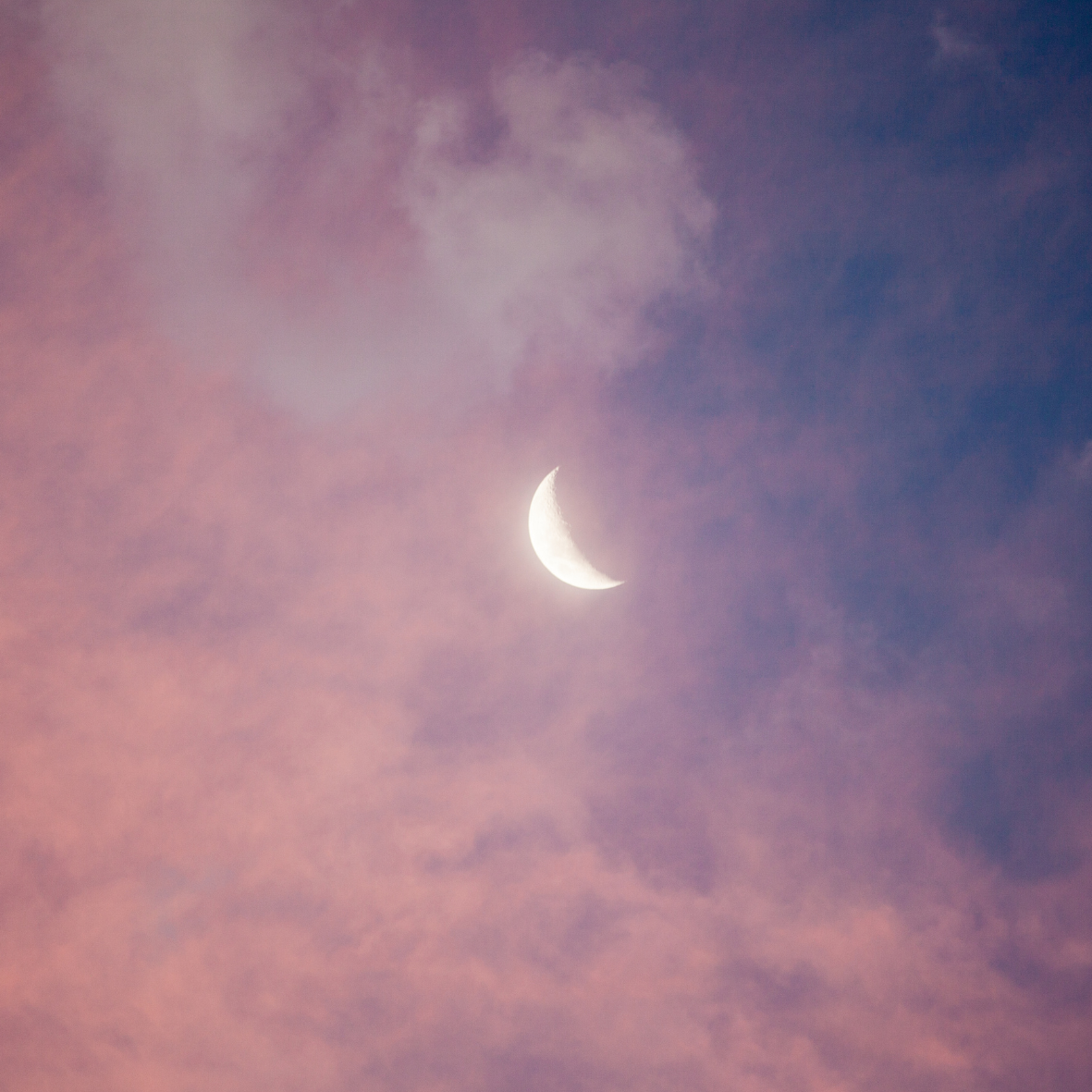 Reserve Your Spot - Moon Tides
