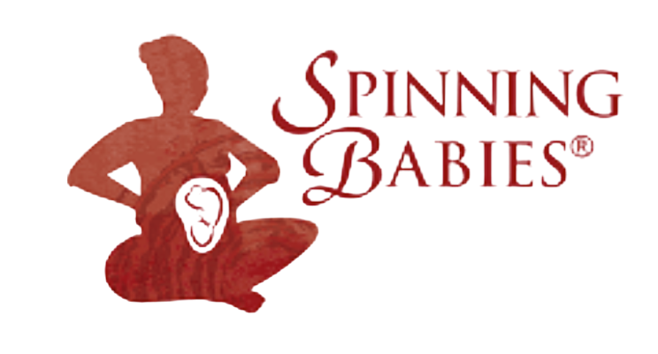 Spinning Babies Foundations
