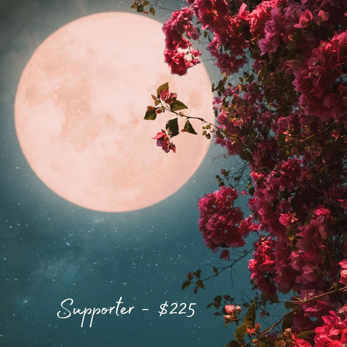 Reserve Your Spot - Moon Tides