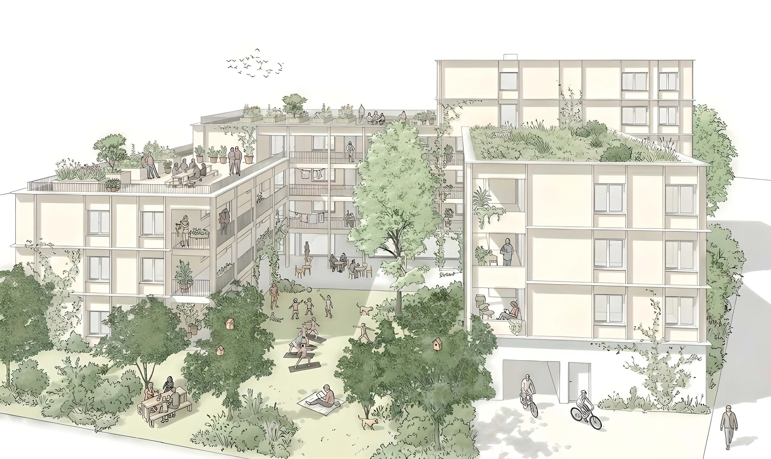 GBW Lehenweg ComBau_1.jpg