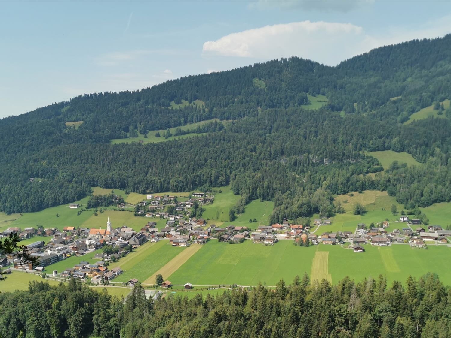 IMG_20200801_151809 (2).jpeg