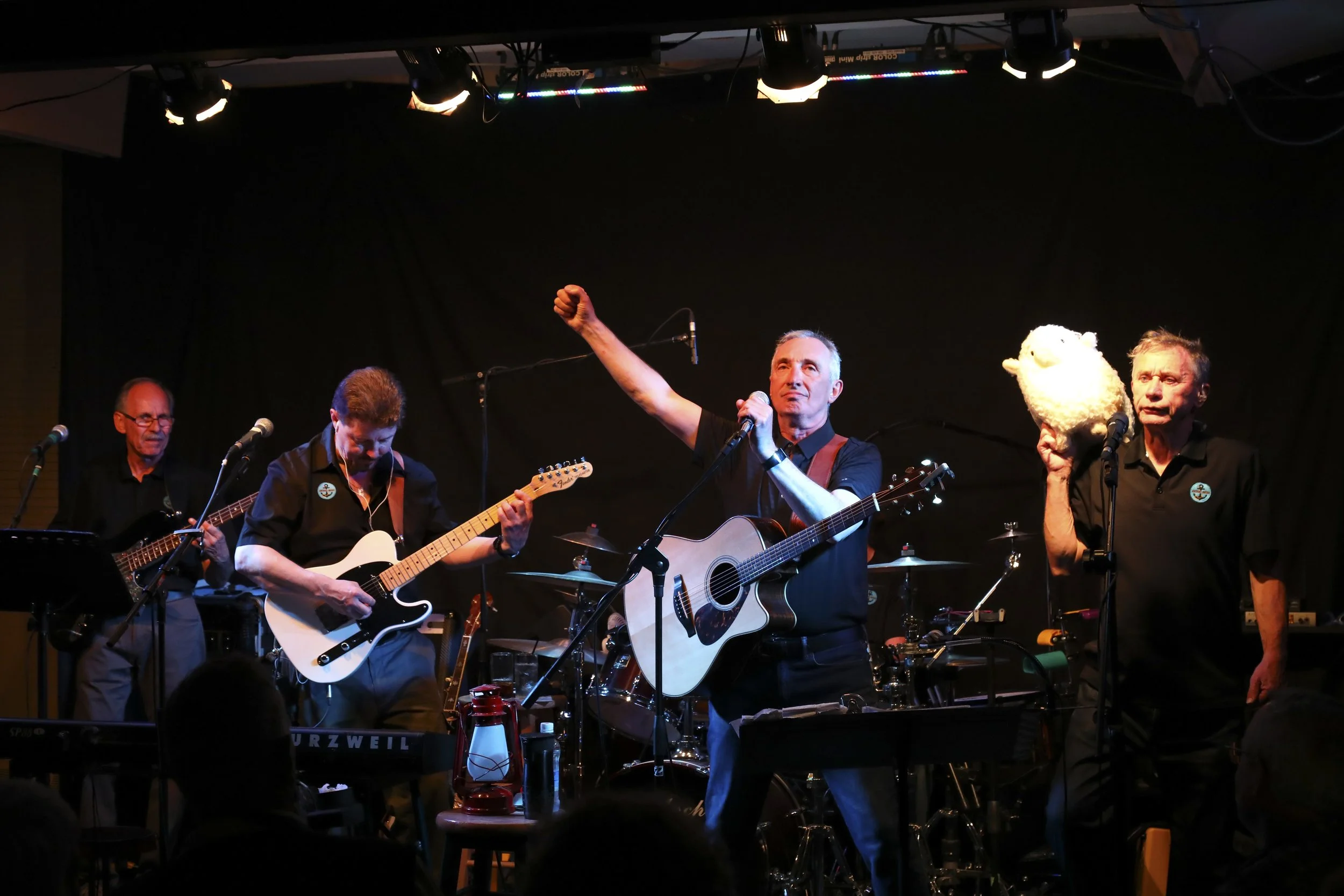 A band of five musicians performing on stage, with one playing an acoustic guitar, another playing an electric guitar, a third holding a stuffed sheep puppet, and a fourth playing an electric bass. The stage is lit with colored lights, and the background is black.