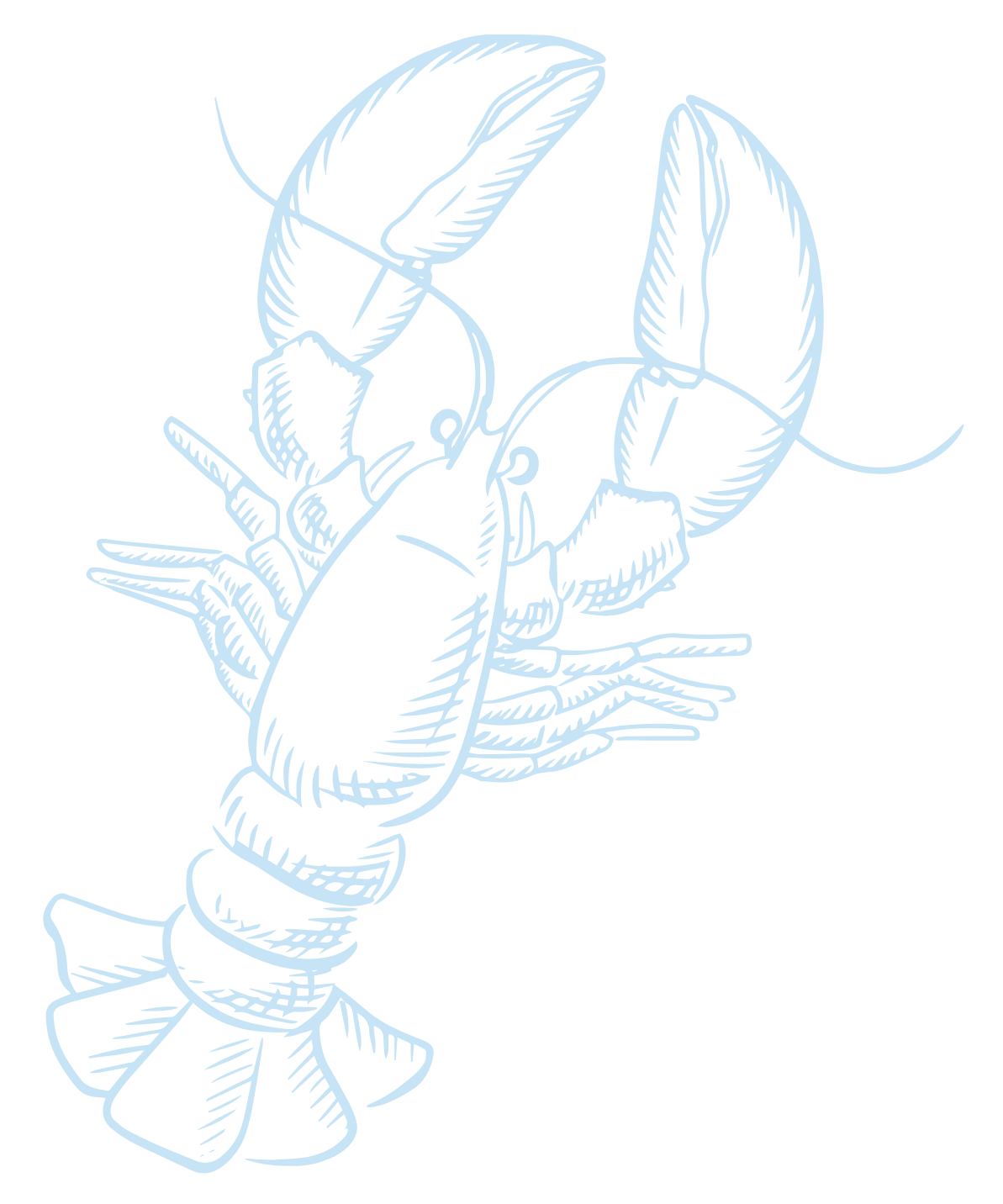 Line drawing of a lobster in light blue.