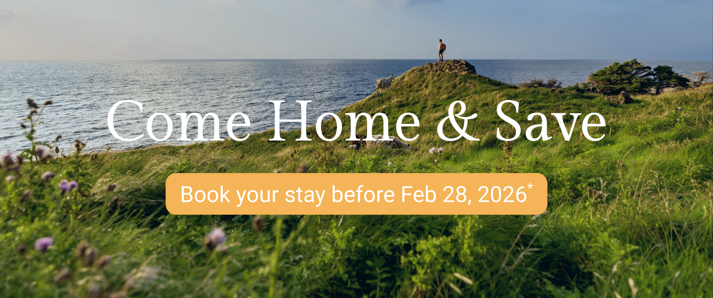 It’s time to Come Home to Newfoundland &amp; Labrador!