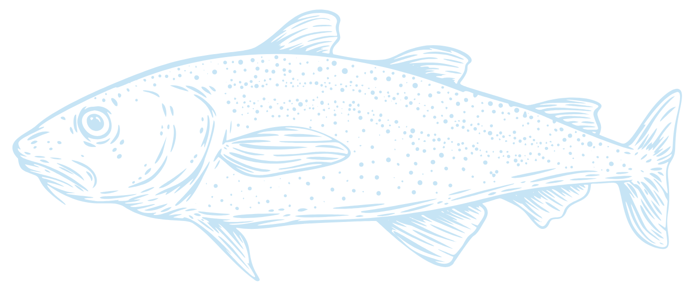 Line drawing of a fish.