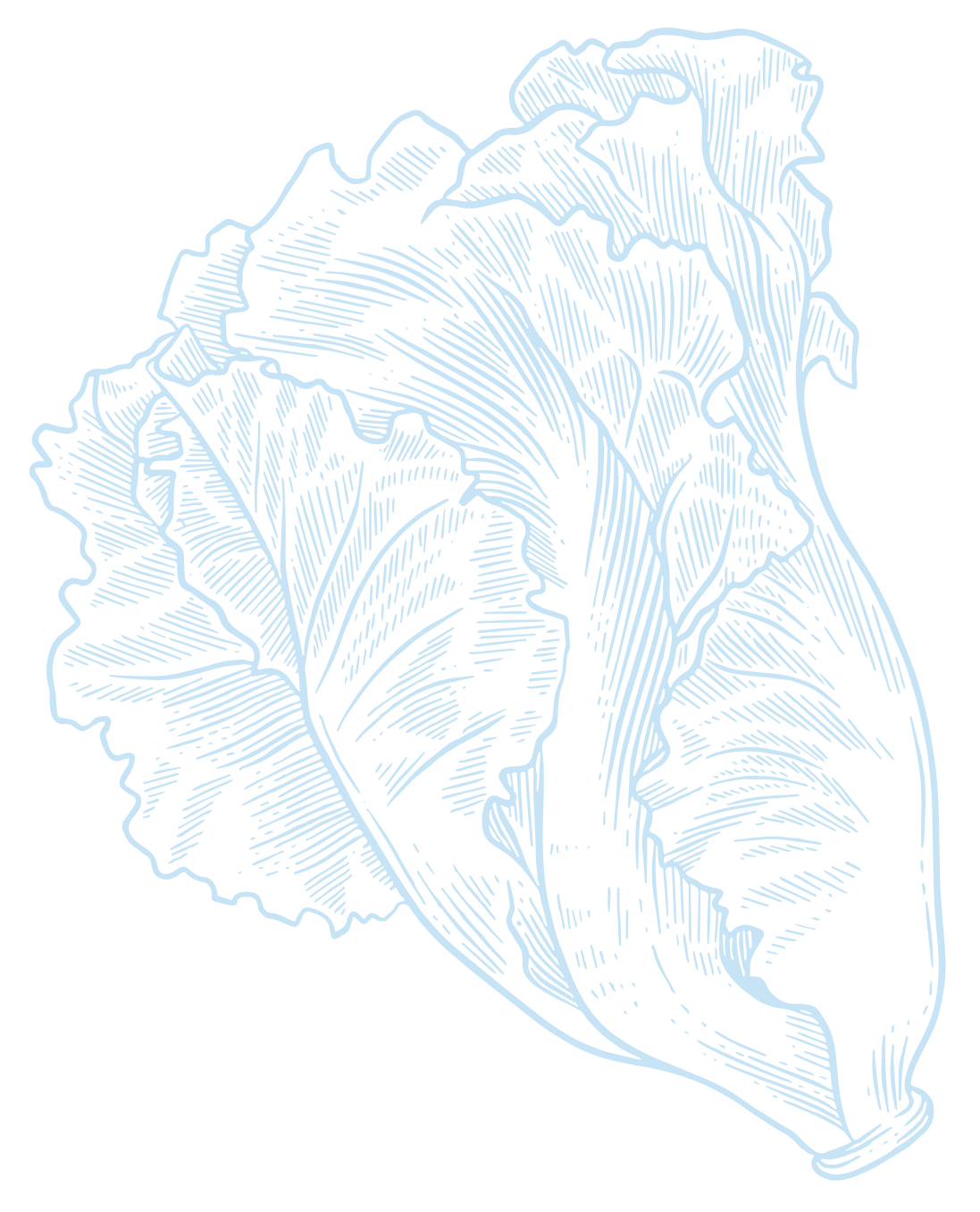 Line drawing of a heart with detailed outlines.