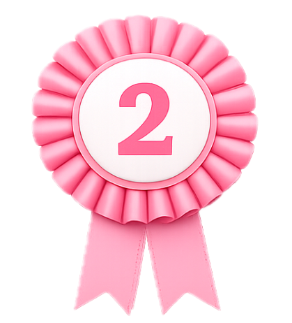 Tier 2 - 2 Session per Week