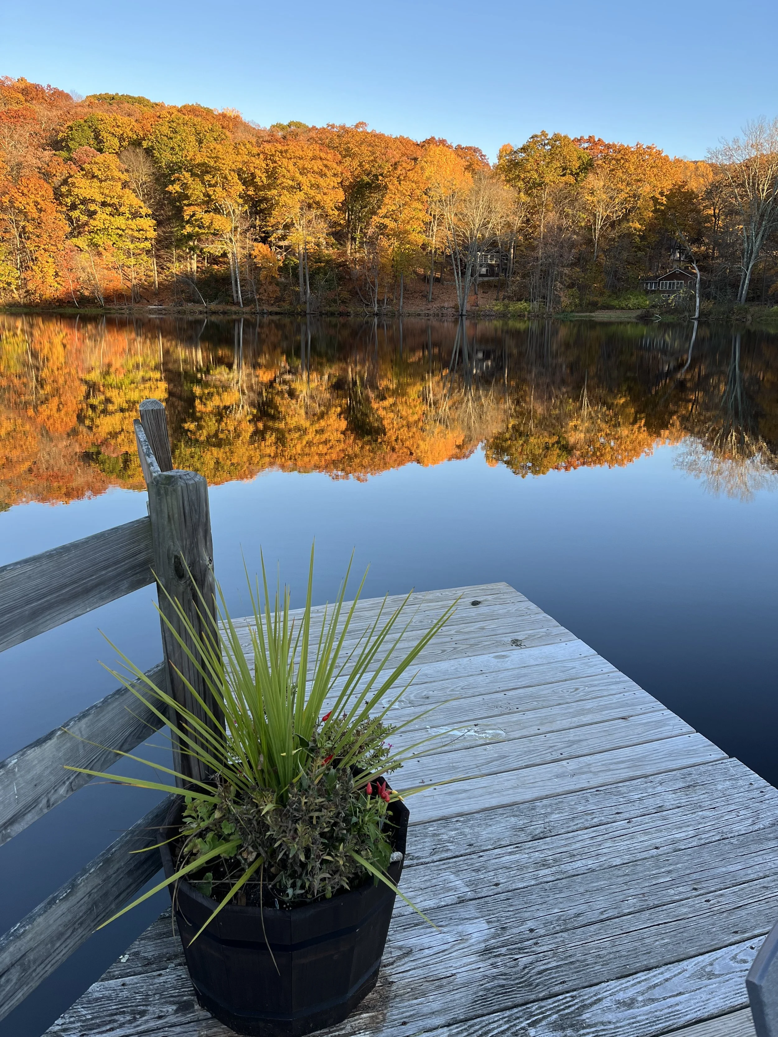 A potted plant with long green leaves and small red flowers on a weathered wooden dock overlooking a calm lake with trees showing fall foliage in the background.