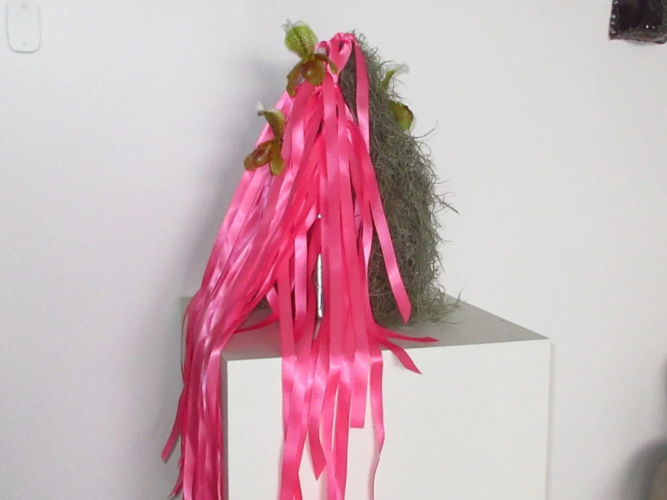 Sapin de noël alternatif