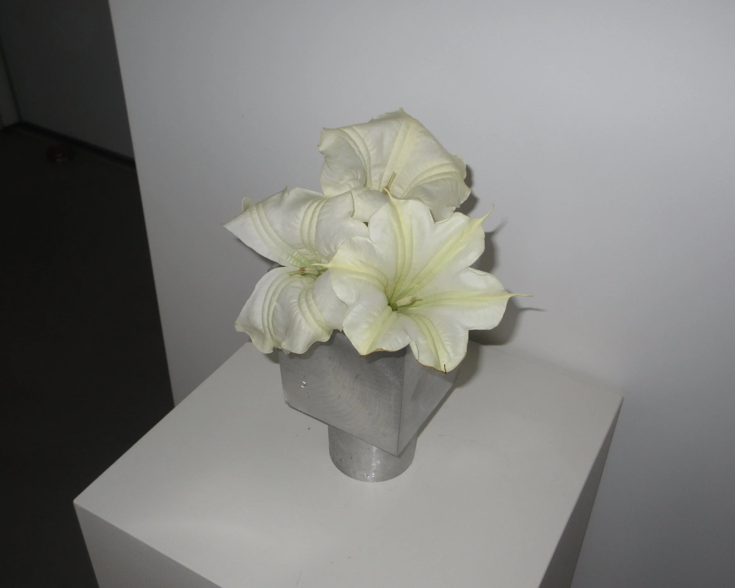 Fleurs blanches dans un vase en métal, placé sur une table blanche.