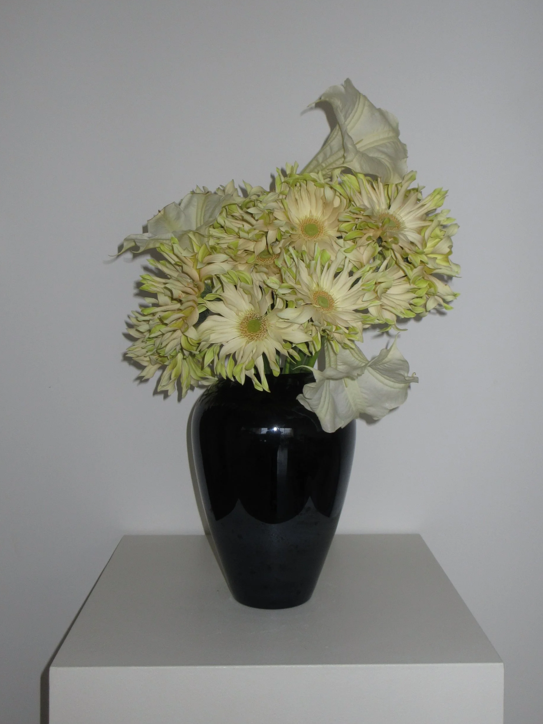 Un vase noir contenant un arrangement de fleurs blanches, dont des chrysanthèmes et des calas, placé sur une surface blanche contre un mur blanc.