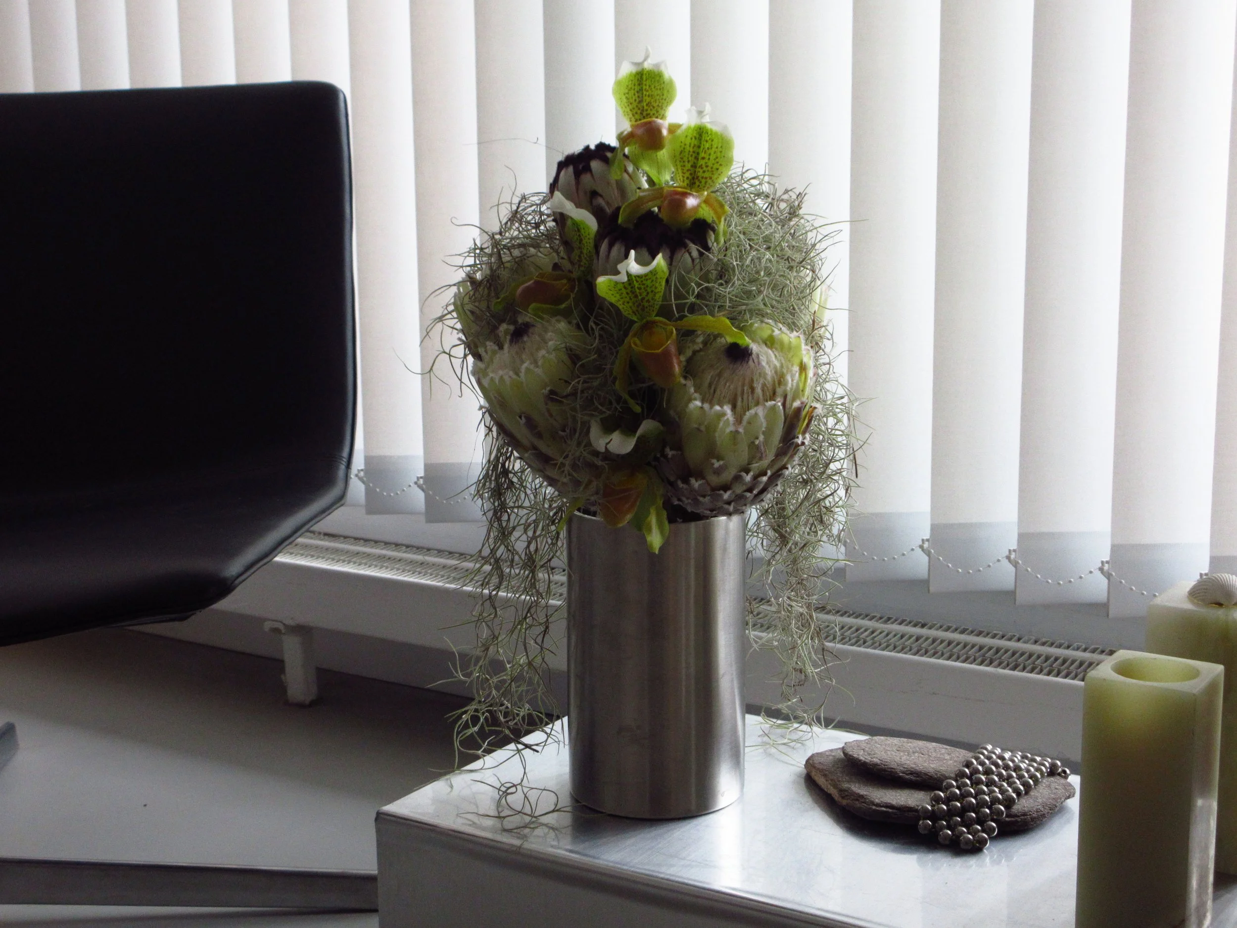 Proteas, sabots de venus, tillandsia