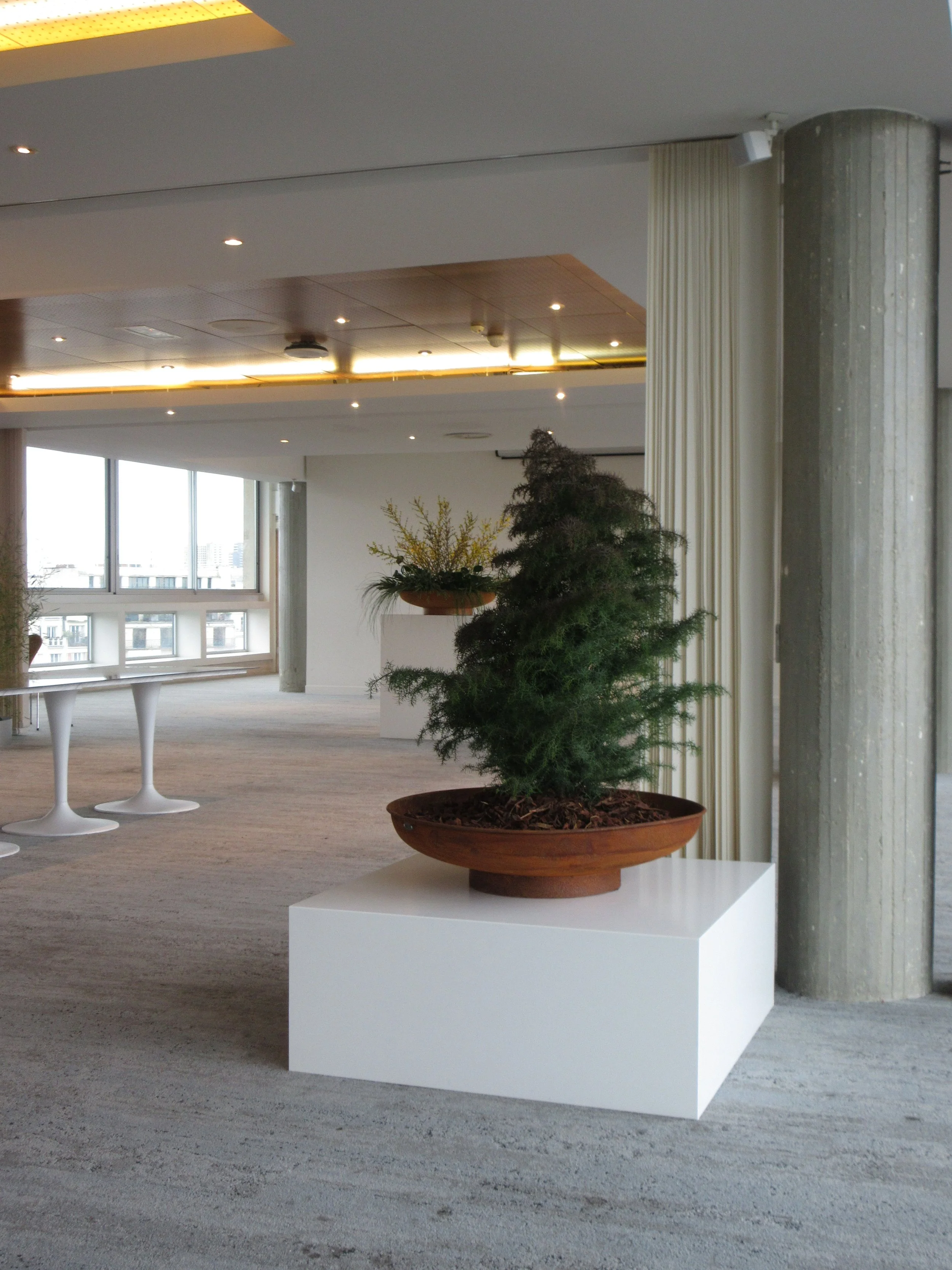 Conception de jardinière pour évènement asics x C.P. company à la maison de l'unesco curated par SIPS studio