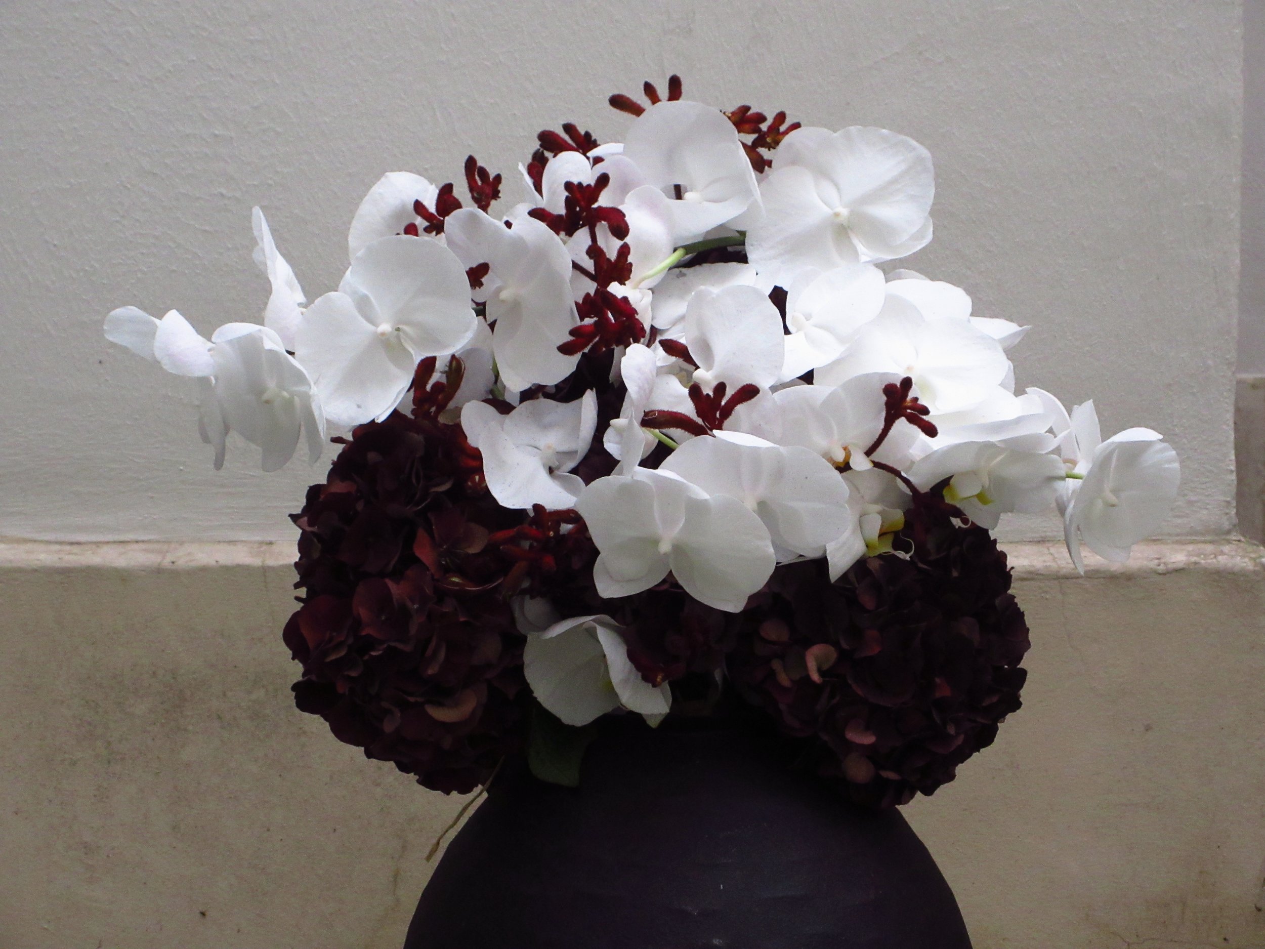 Bouquet automne. Hortensias, phalenopsis et anigozantos