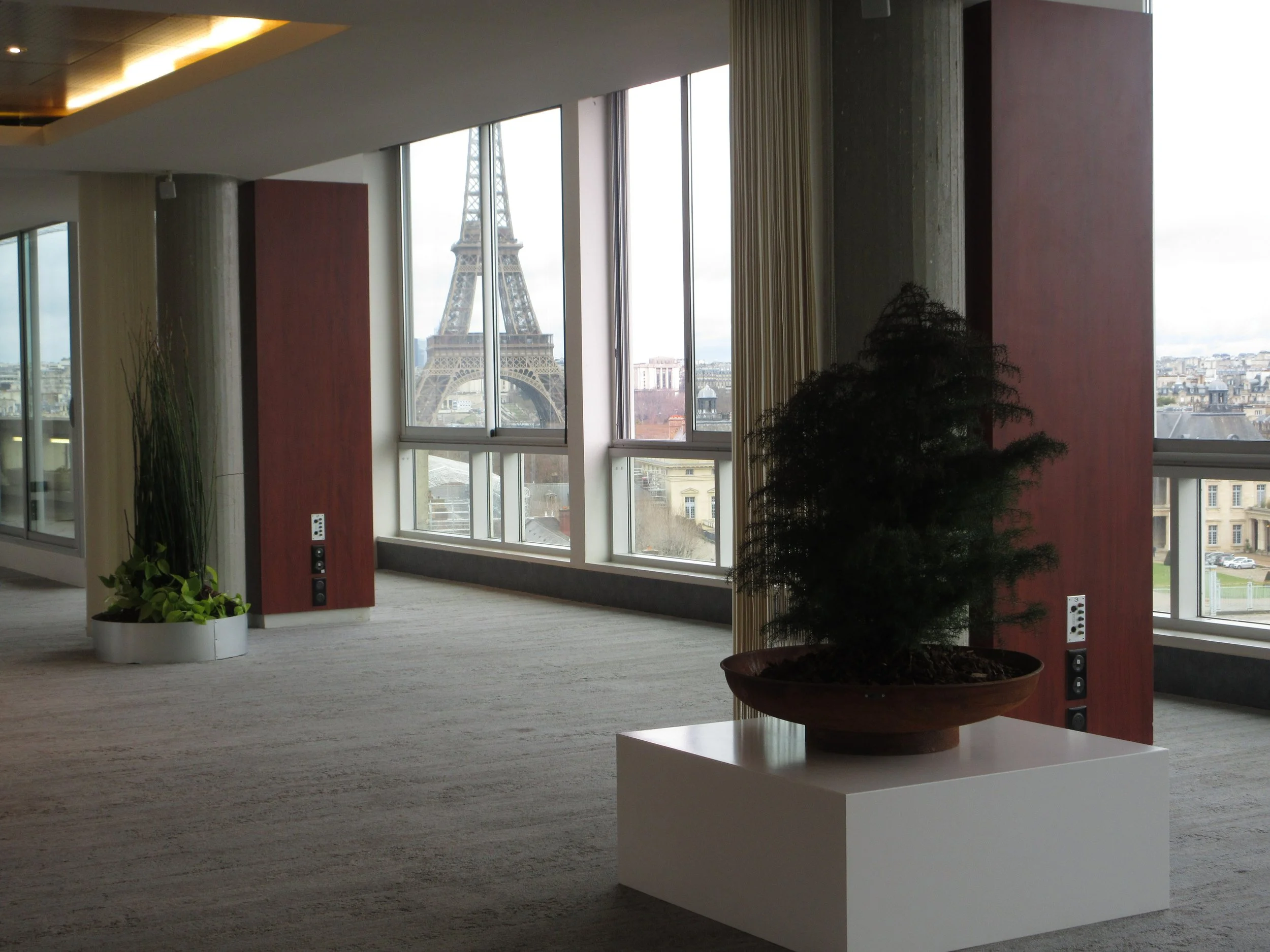 Conception de jardinière pour évènement asics x C.P. company à la maison de l'unesco curated par SIPS studio