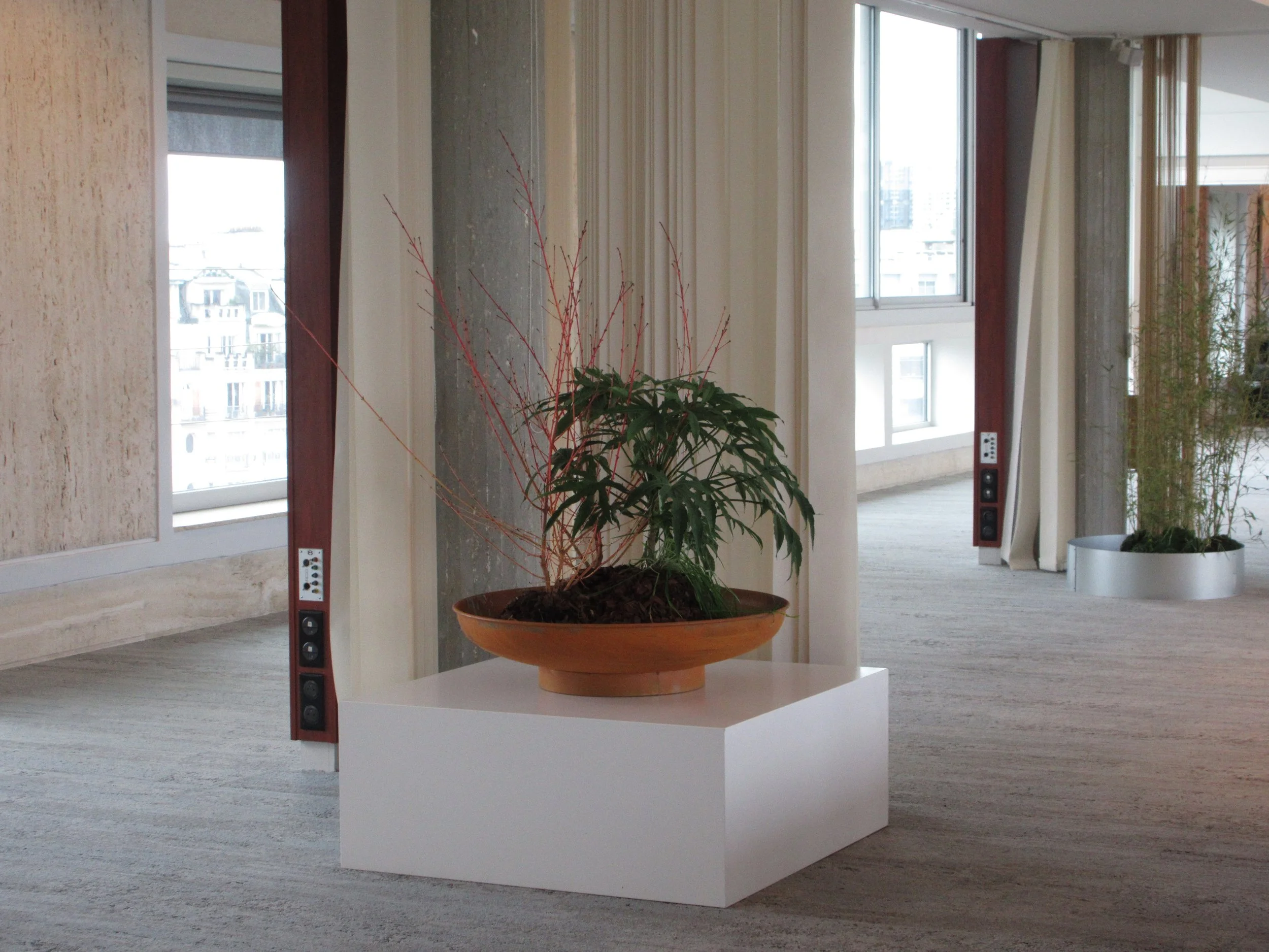 Conception de jardinière pour évènement asics x C.P. company à la maison de l'unesco curated par SIPS studio