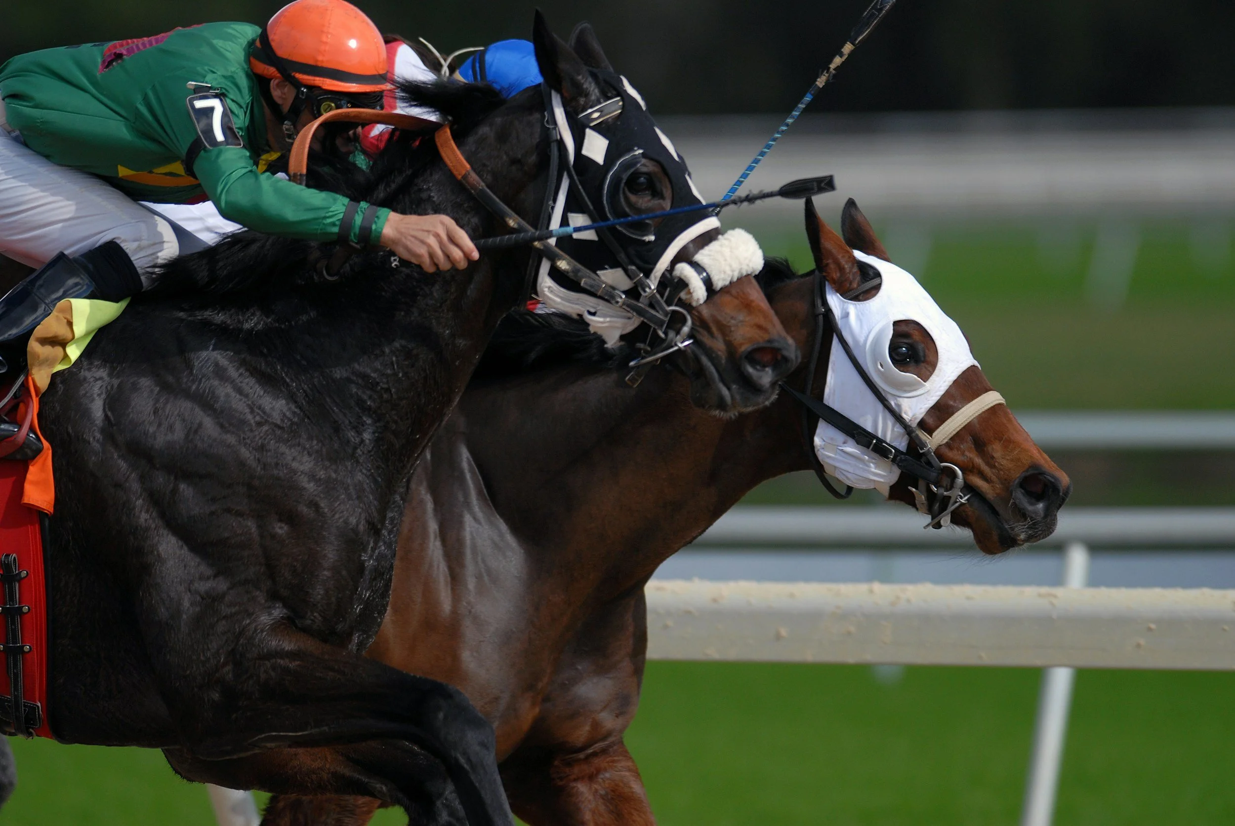 Two racehorses with jockeys competing close together on a racetrack, with the jockeys leaning forward in a race.