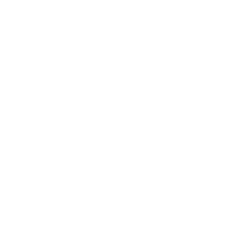Stopwatch icon