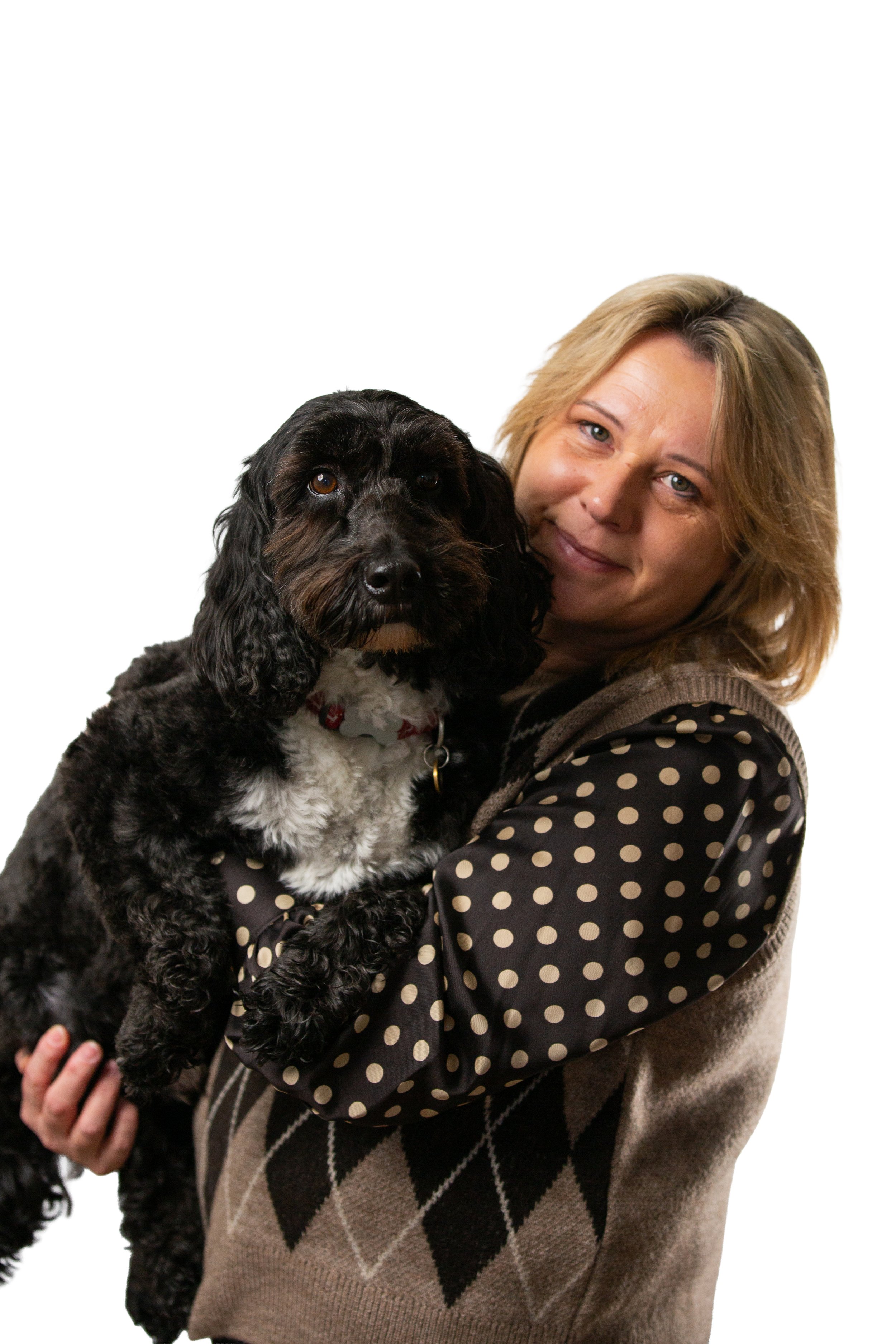 COLIN, the black curly Spaniel A&I Group