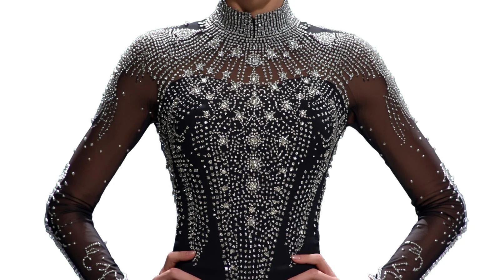 A person is wearing a black, sheer, long-sleeved dress decorated with rhinestones, featuring a high neckline and intricate pattern of sparkling stones covering the upper body and sleeves.
