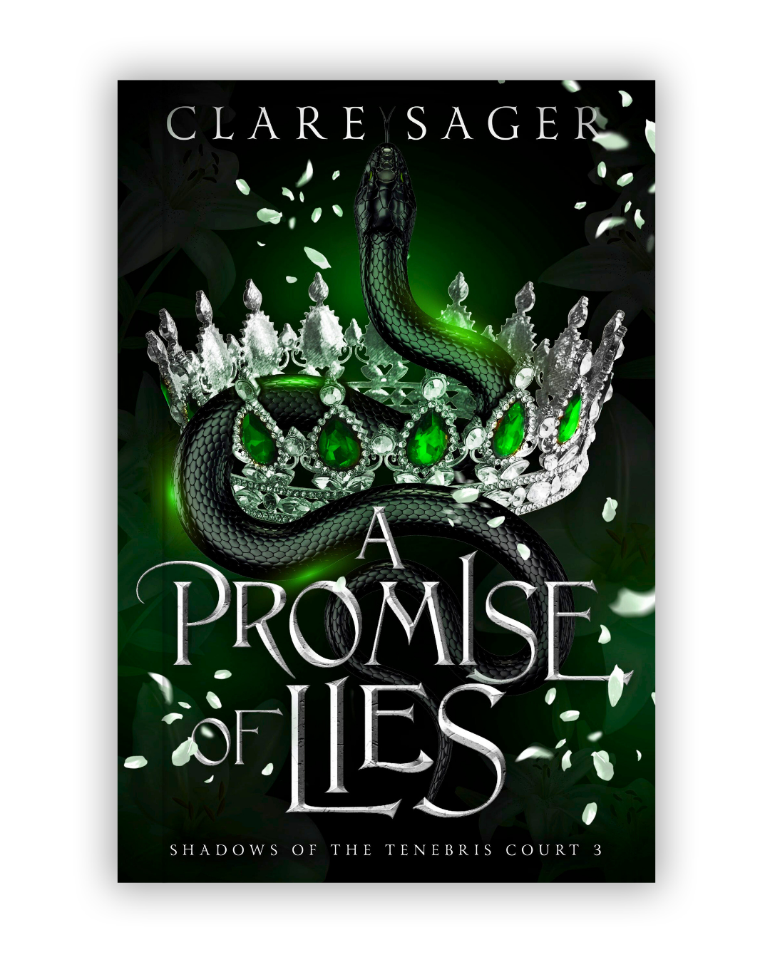 A PROMISE OF LIES