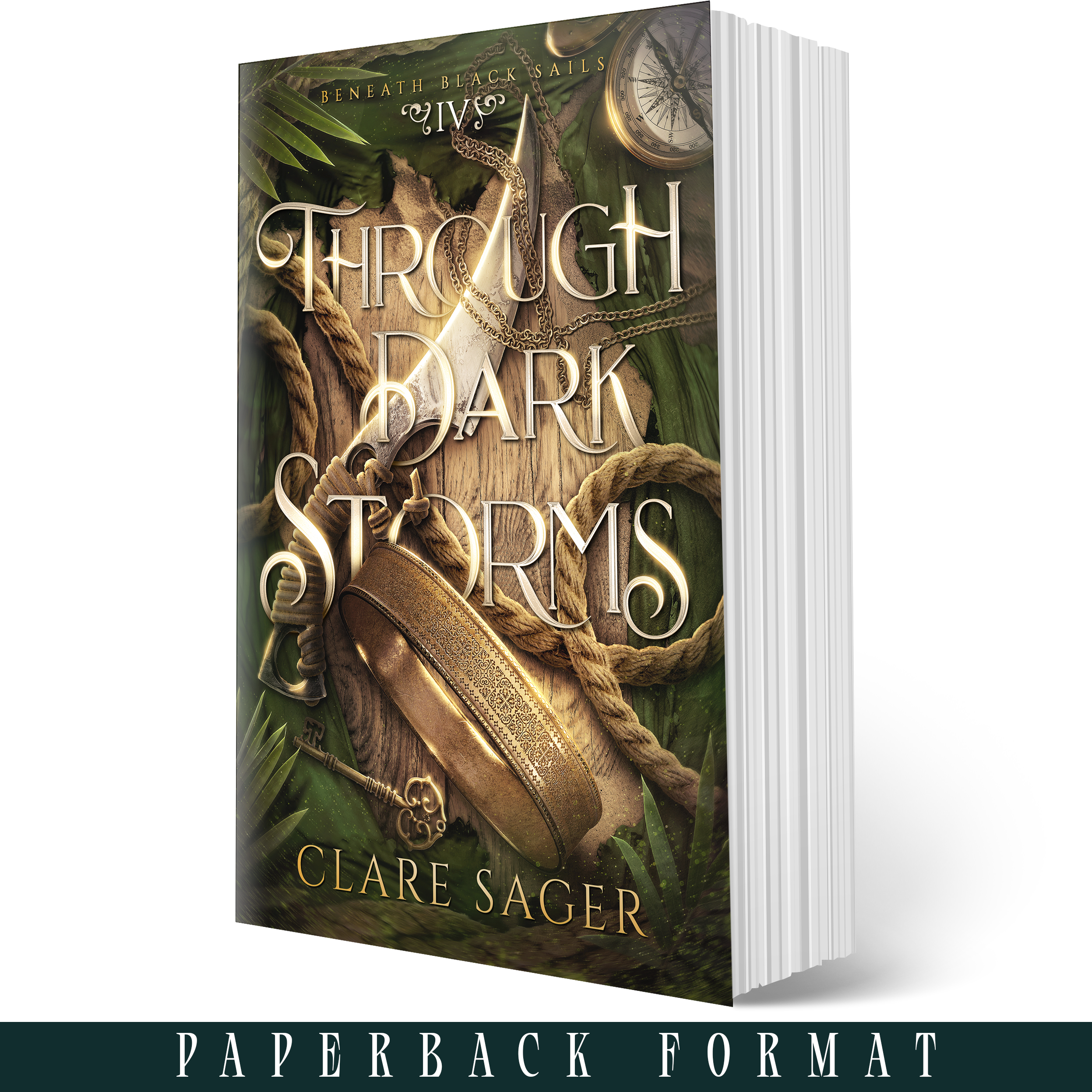 CS Book_PB_BBS_04_Through-Dark-Storms.png
