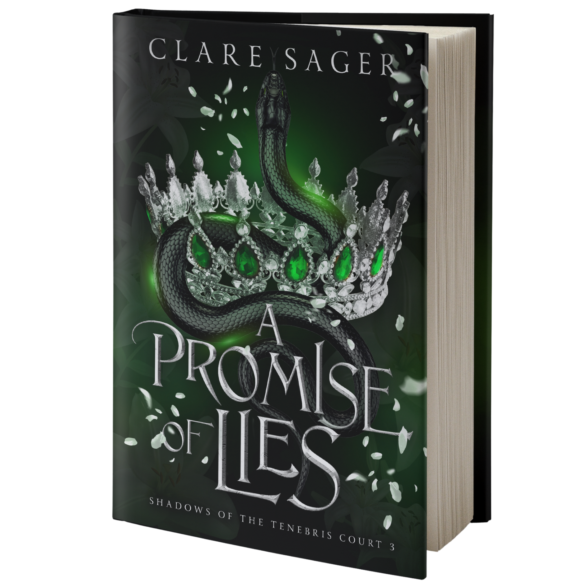 A Promise of Lies - Signed Copy