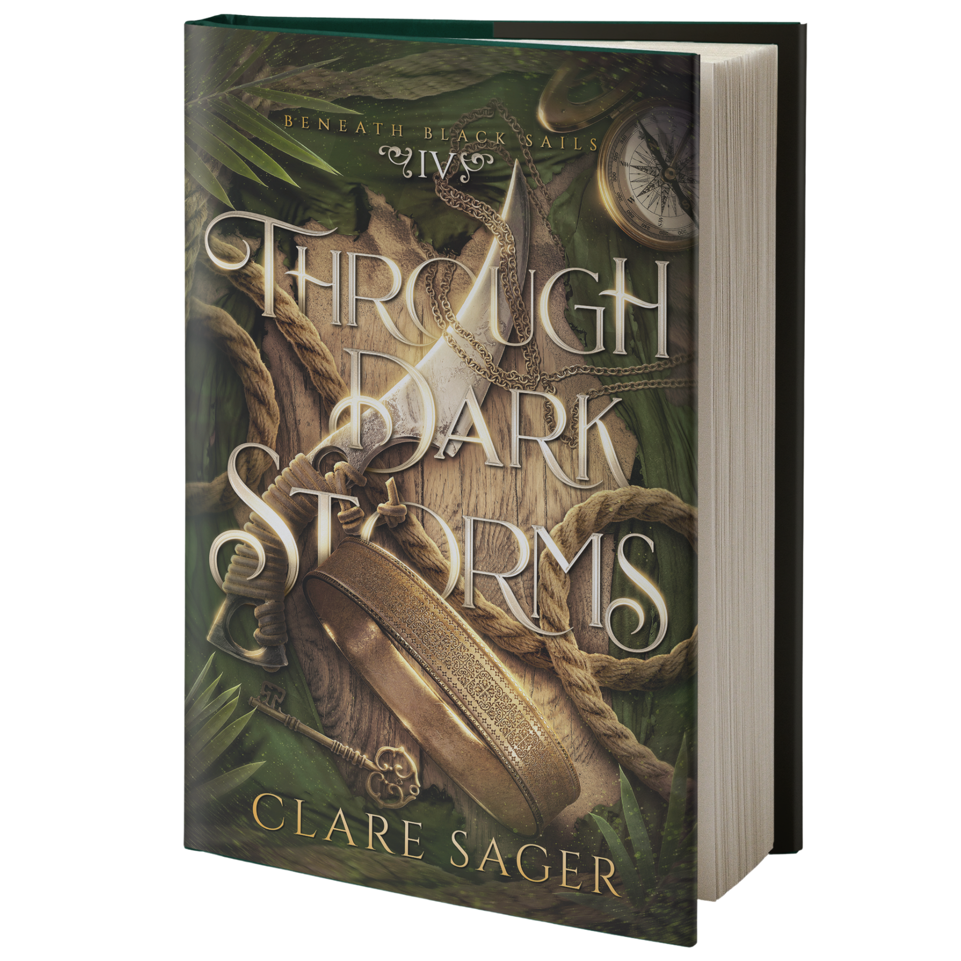 Through Dark Storms - Signed Copy