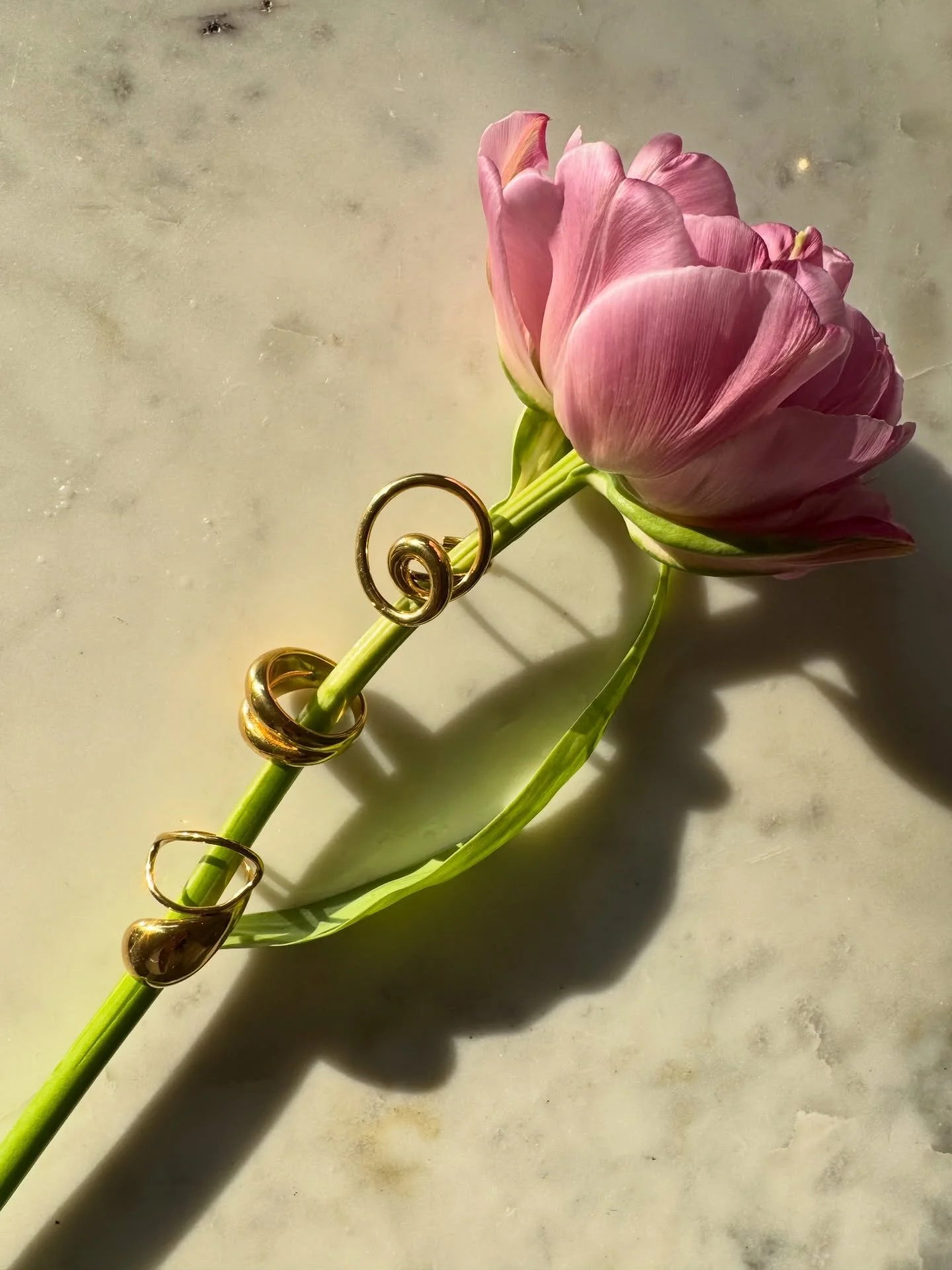 ♡

In love with the new collection 🫶

@maste_antwerp 

#mast&eacute;
#statementjewellery 
#rings
#waterproof
#timelesselegance