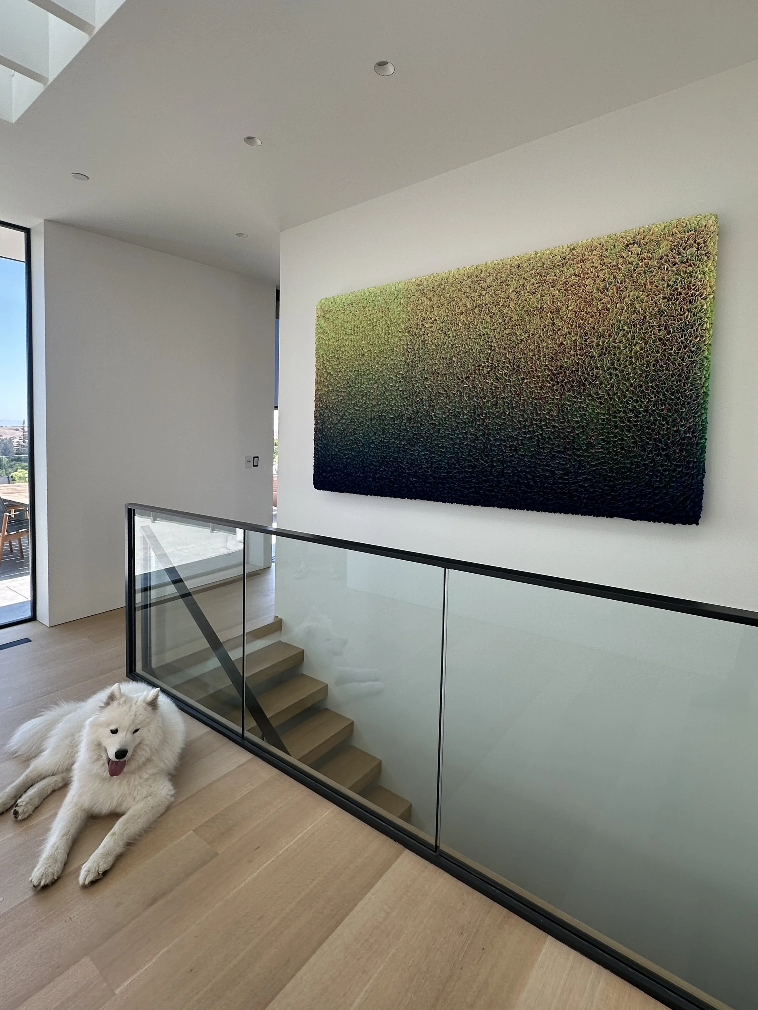 replacement for gallery #8.jpg