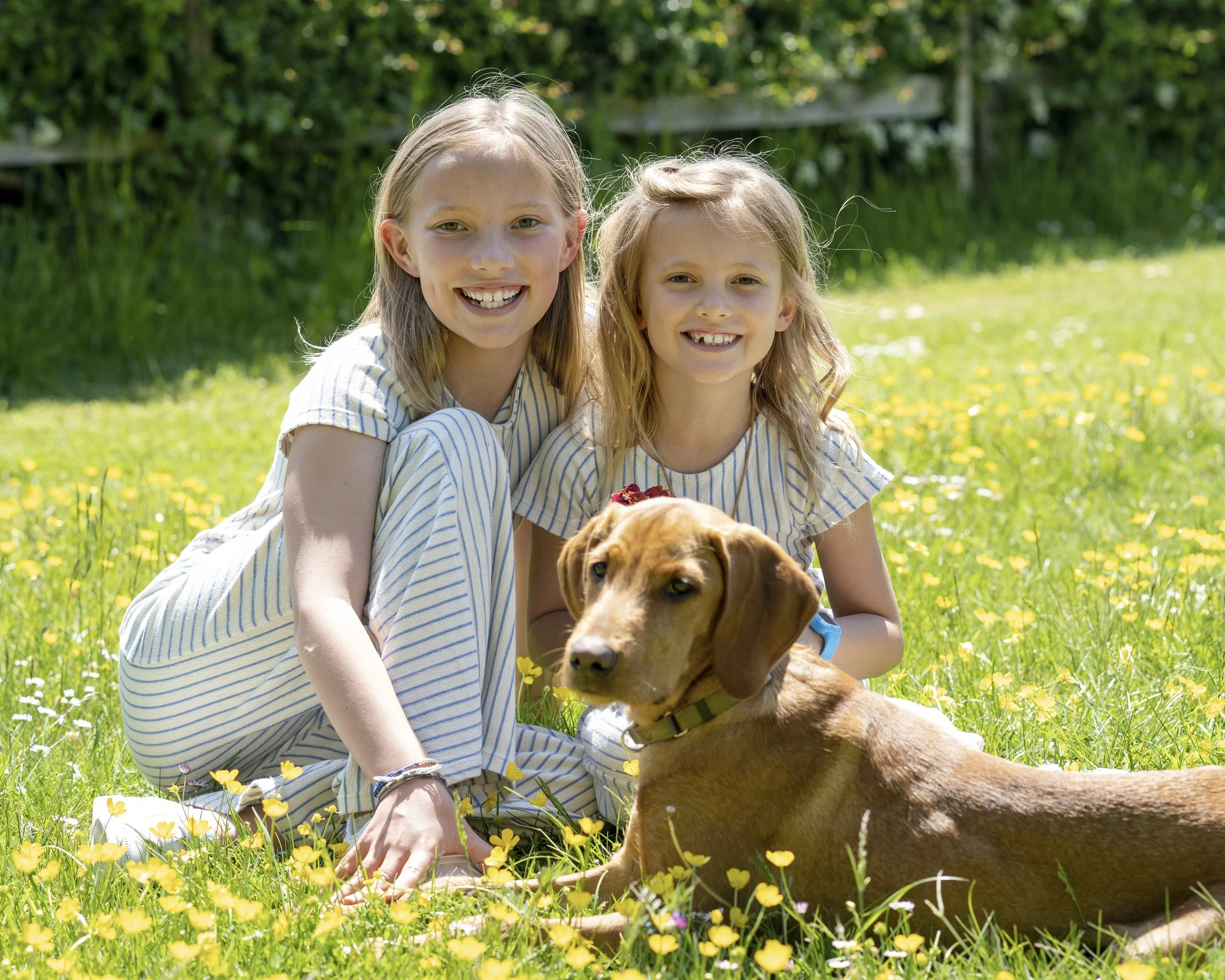 Two young girls with light brown hair sitting on a grassy field with yellow wildflowers, accompanied by a brown dog, outdoors on a sunny day.