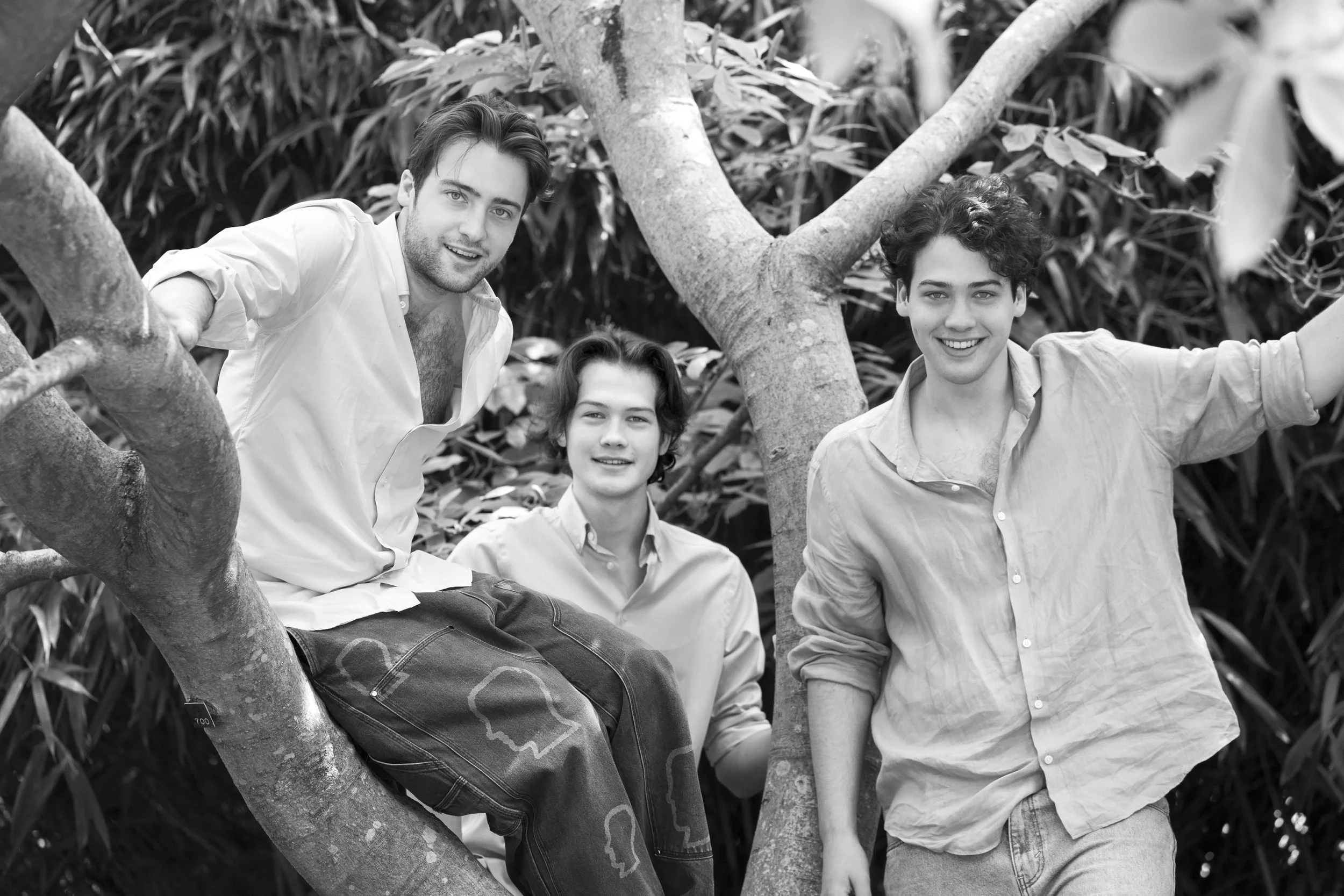 Three young men posing in a tree surrounded by foliage
