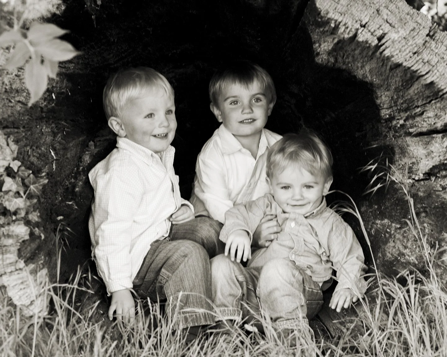 Three young boys sitting inside a hollow tree trunk, smiling and looking at the camera in a black-and-white photo.